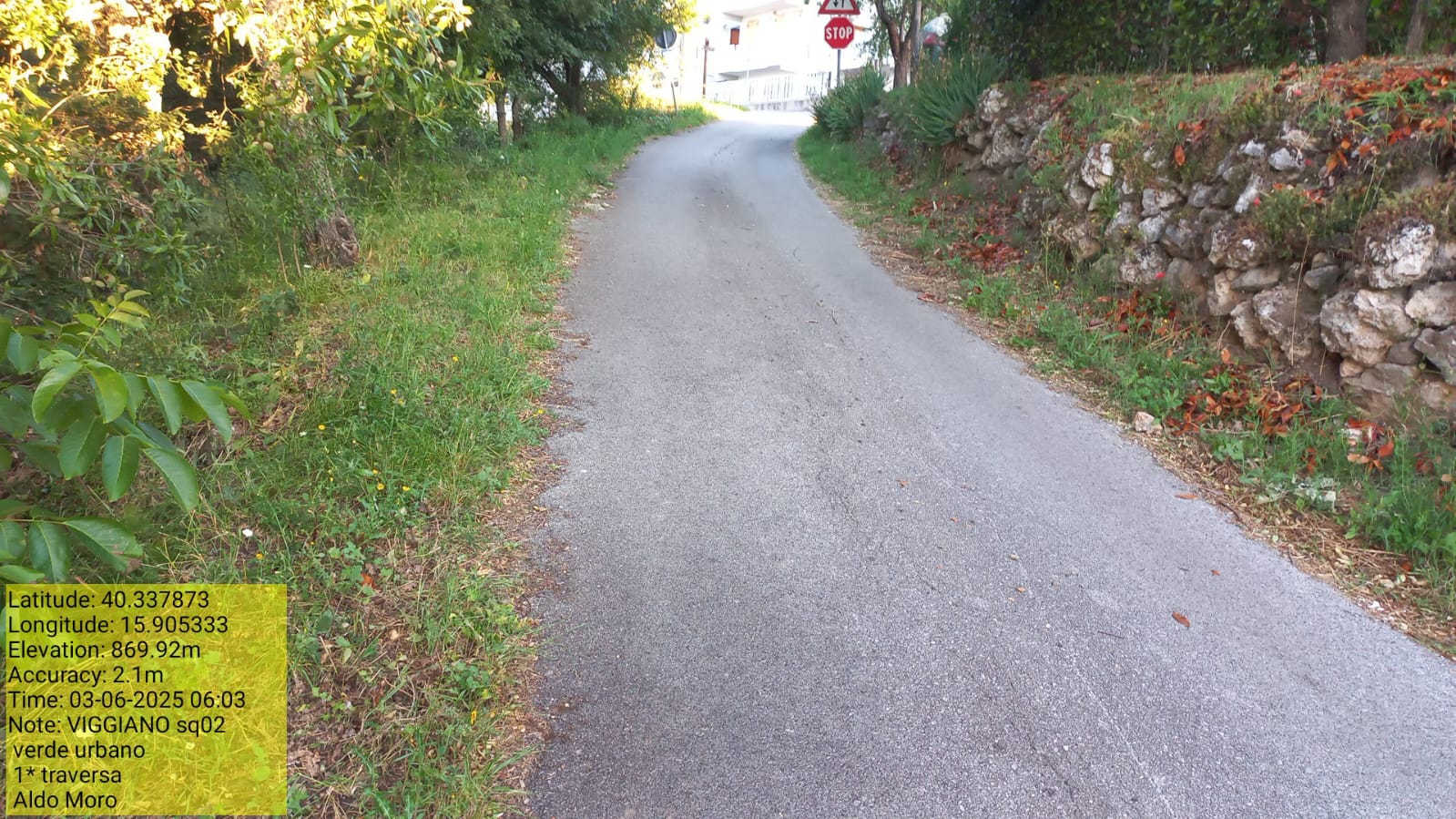 Galleria Fotografica Immagine