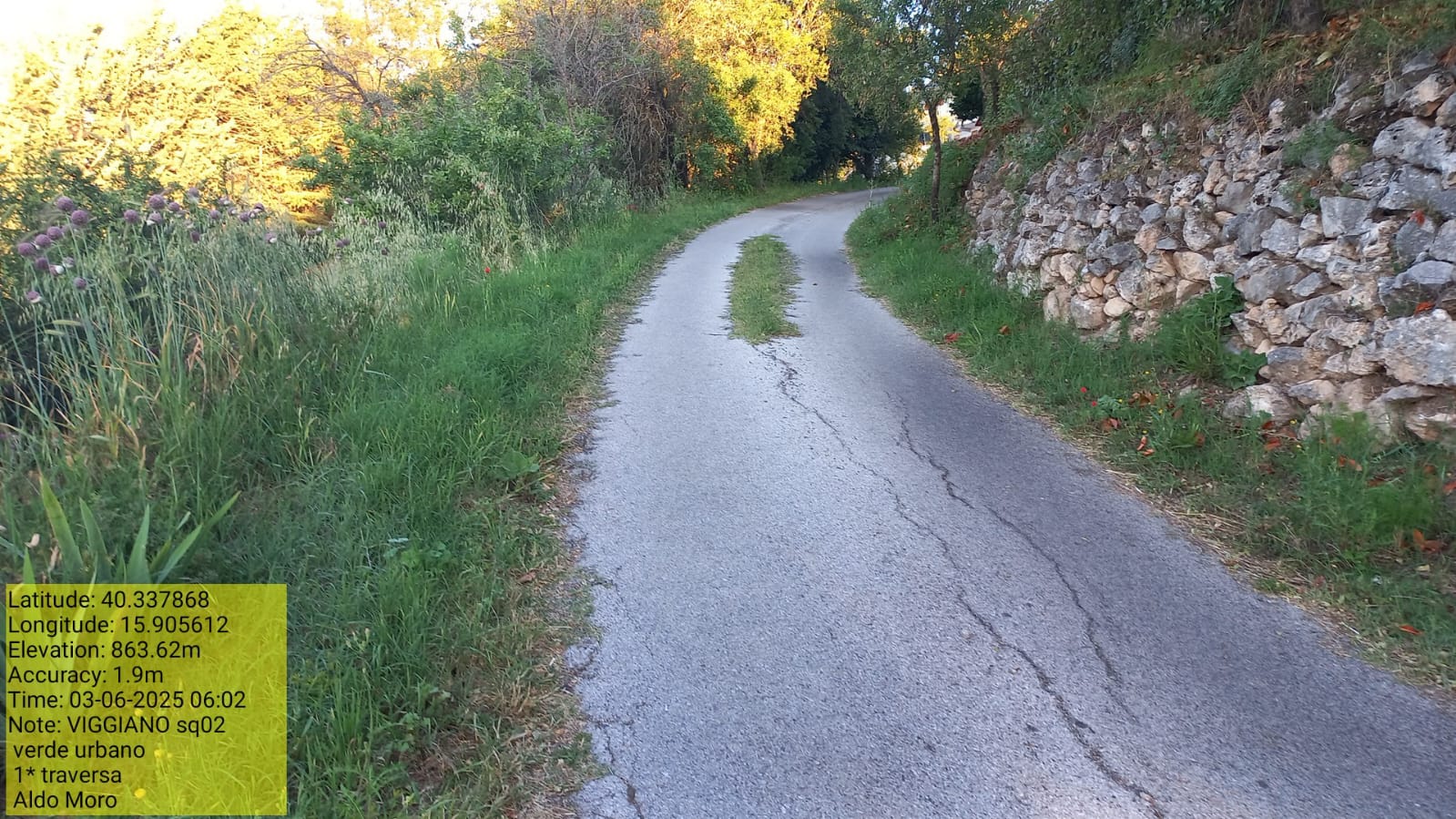 Galleria Fotografica Immagine