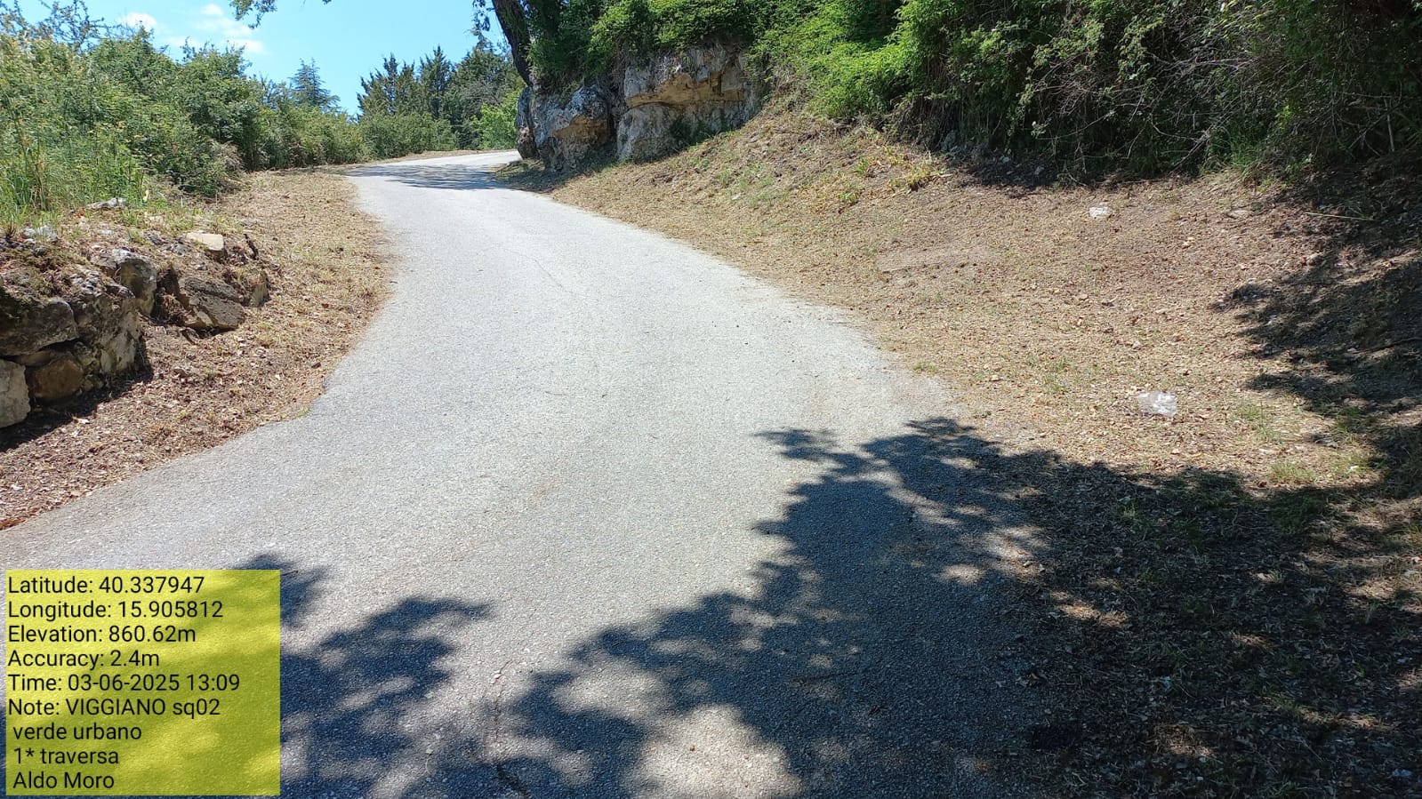 Galleria Fotografica Immagine