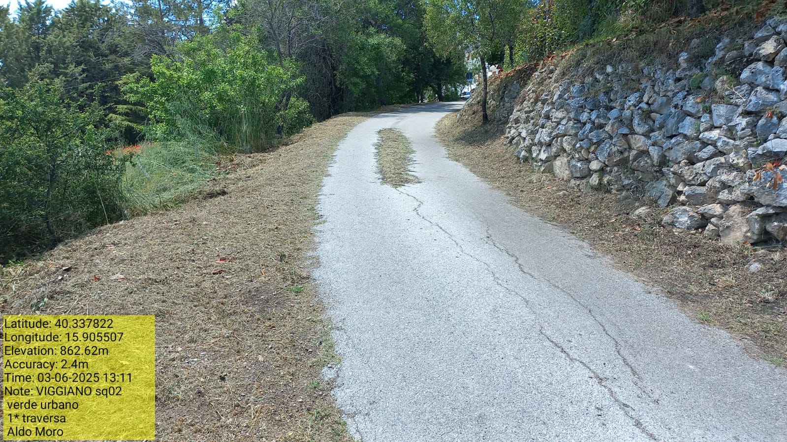 Galleria Fotografica Immagine