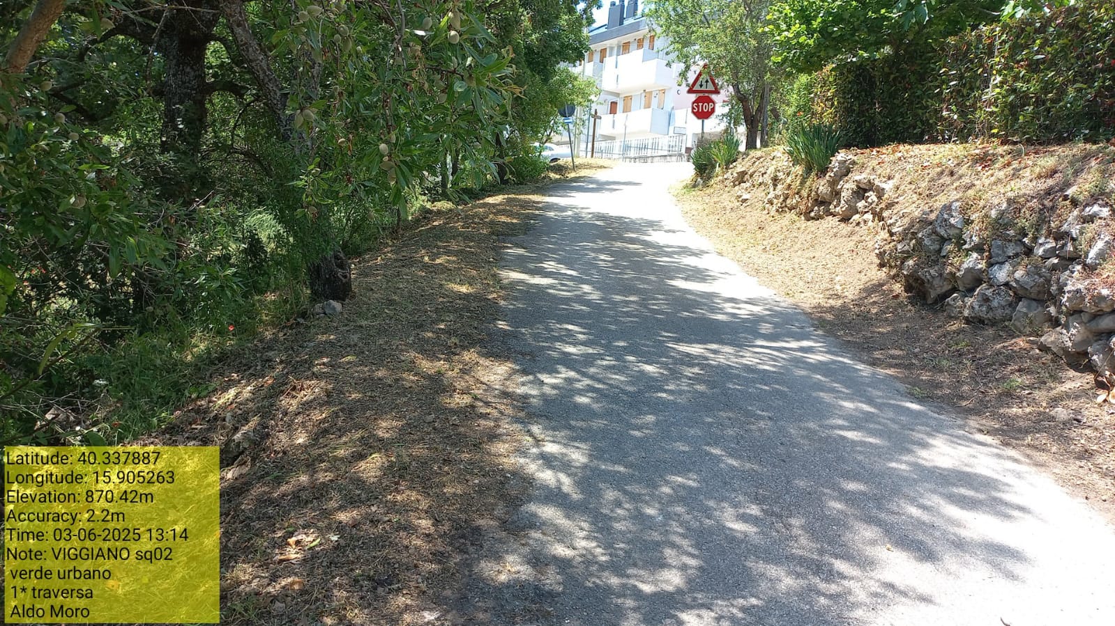 Galleria Fotografica Immagine