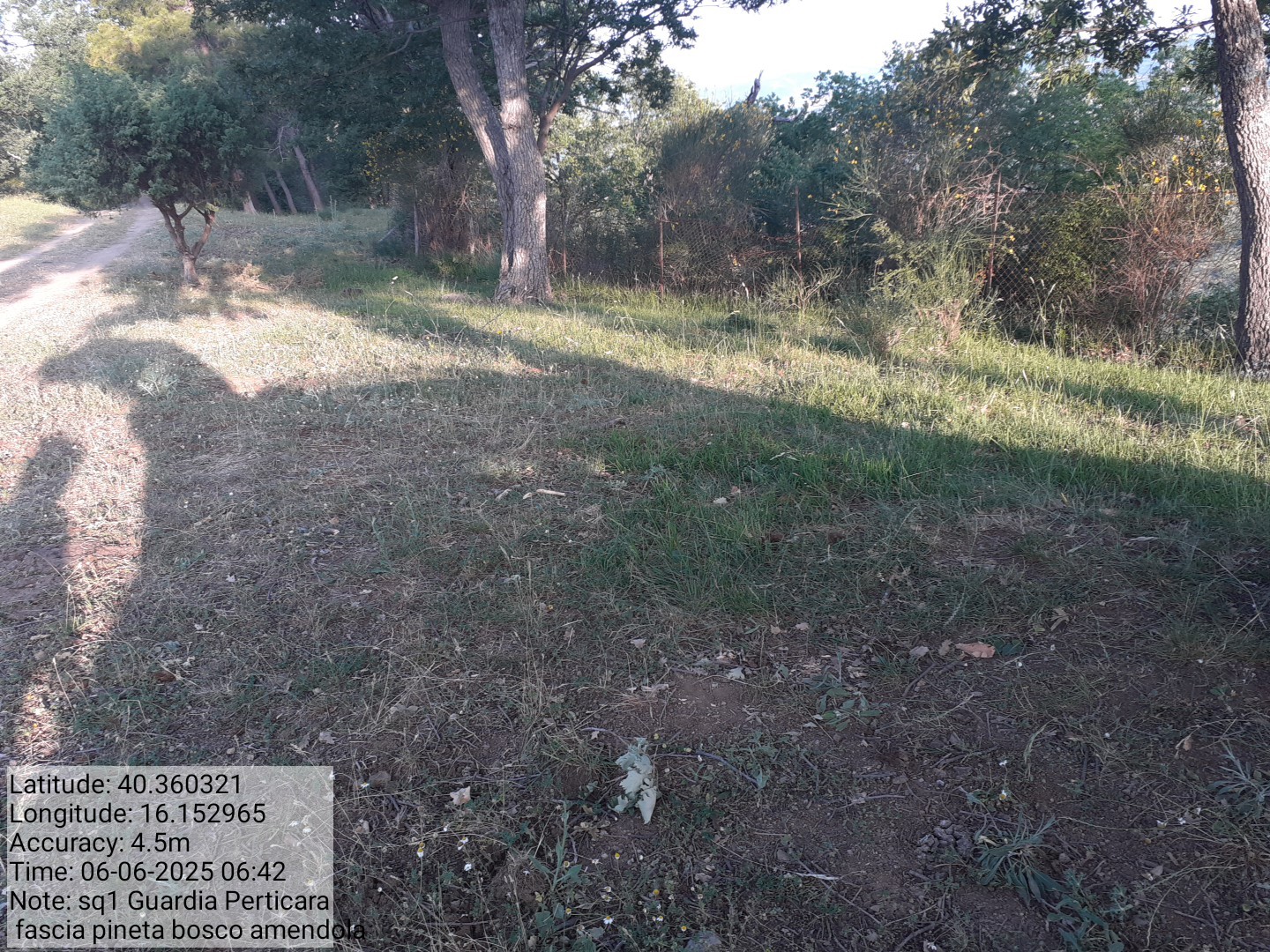 Galleria Fotografica Immagine