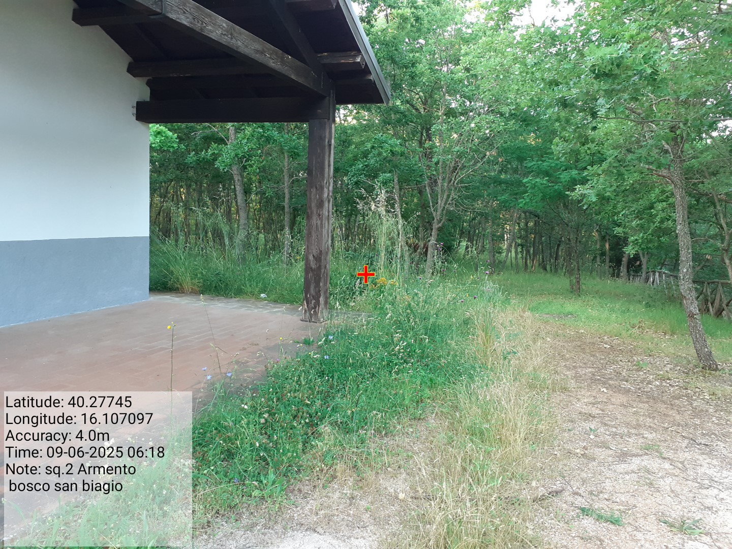 Galleria Fotografica Immagine