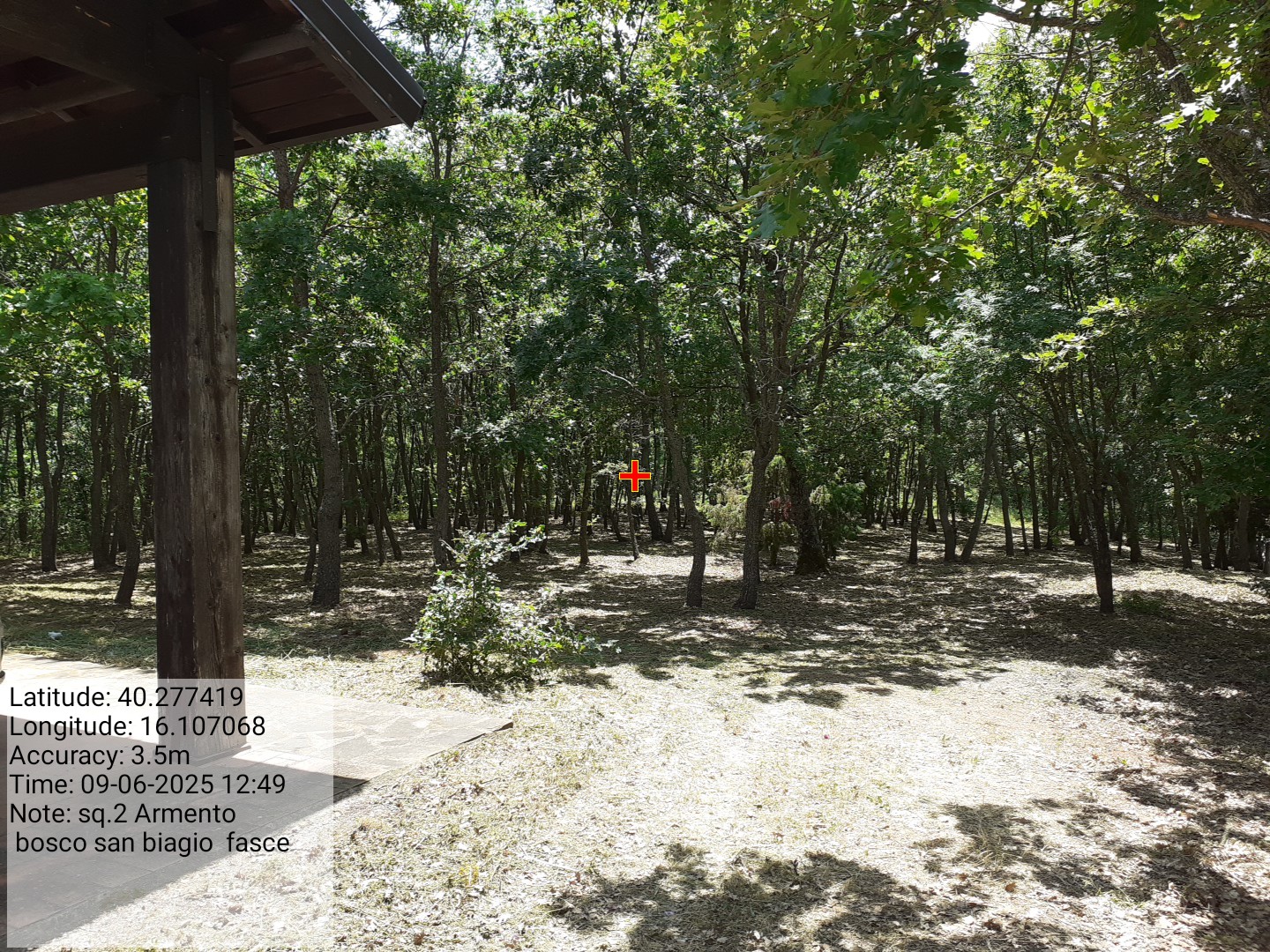 Galleria Fotografica Immagine