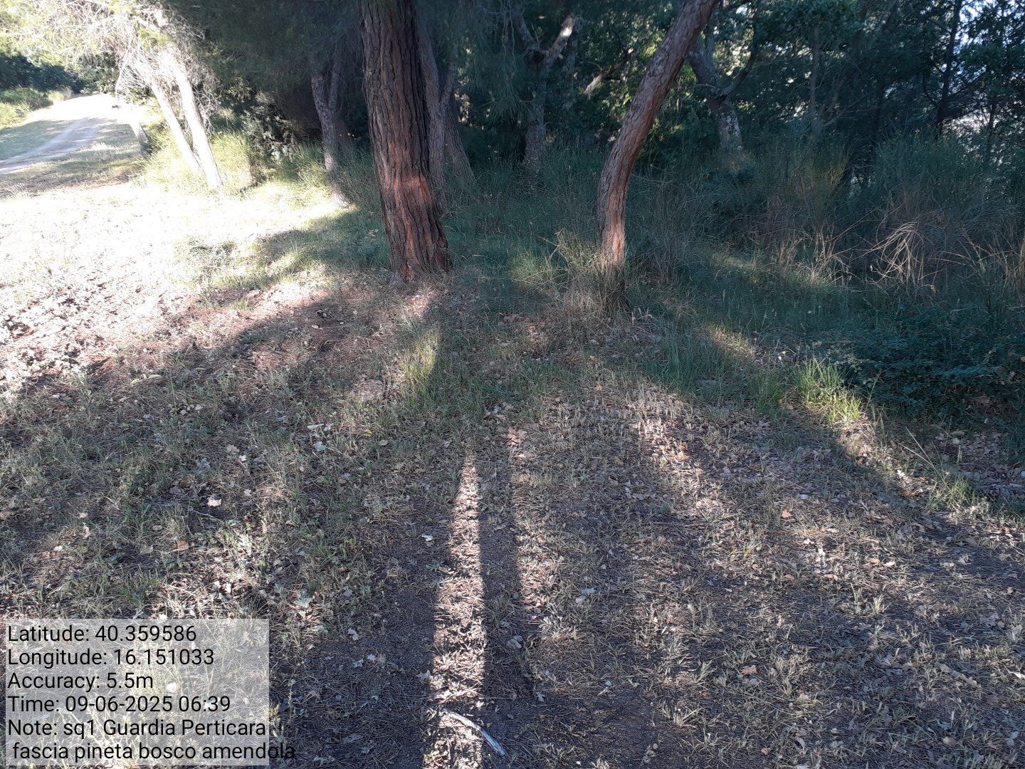 Galleria Fotografica Immagine