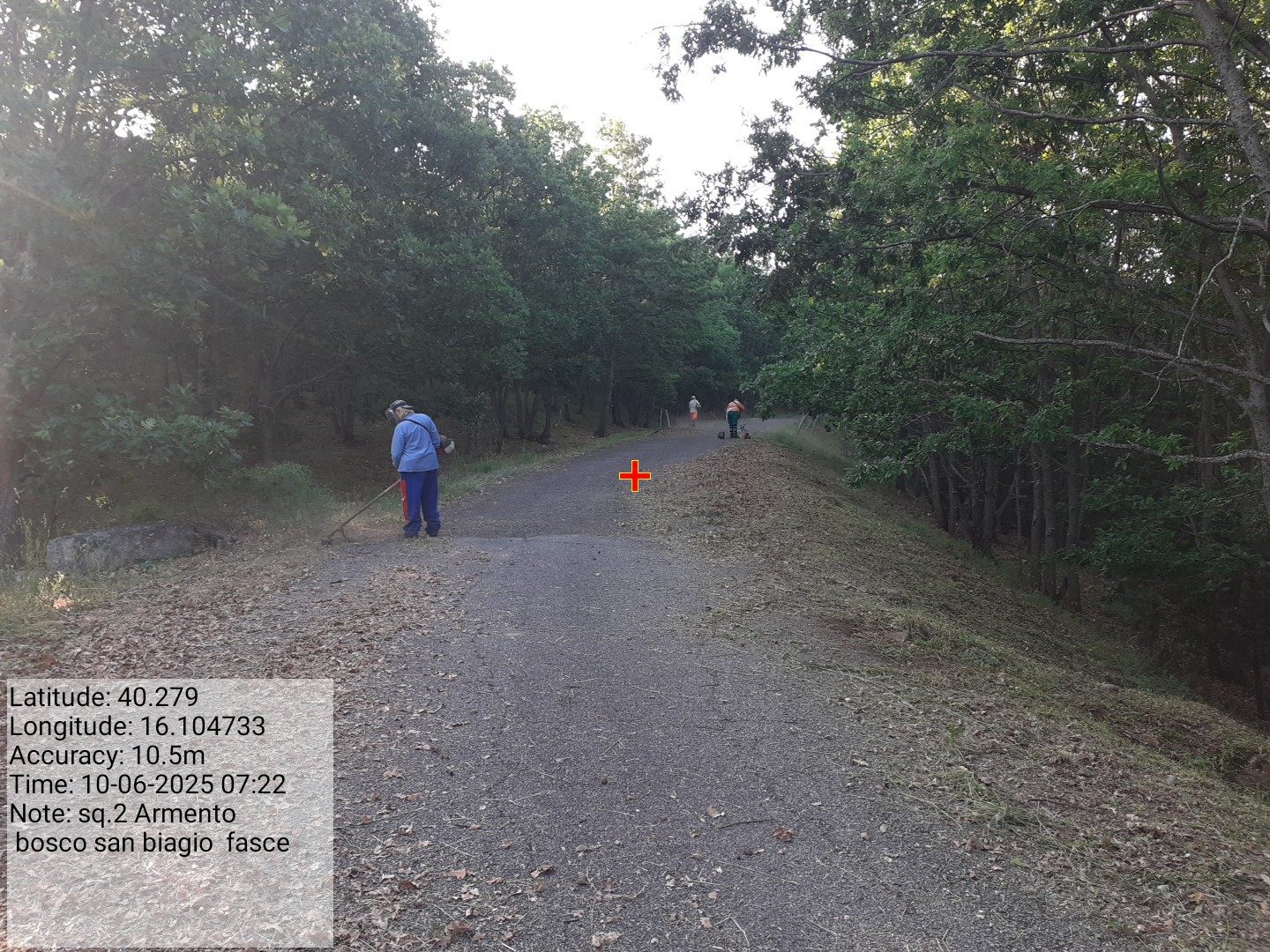 Galleria Fotografica Immagine