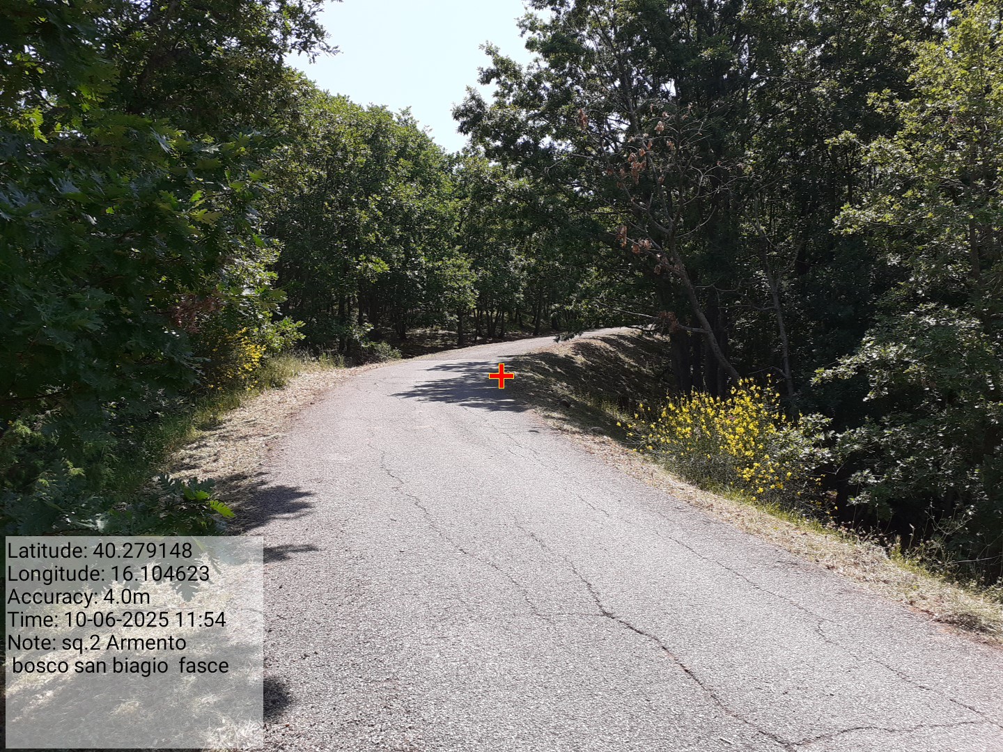 Galleria Fotografica Immagine