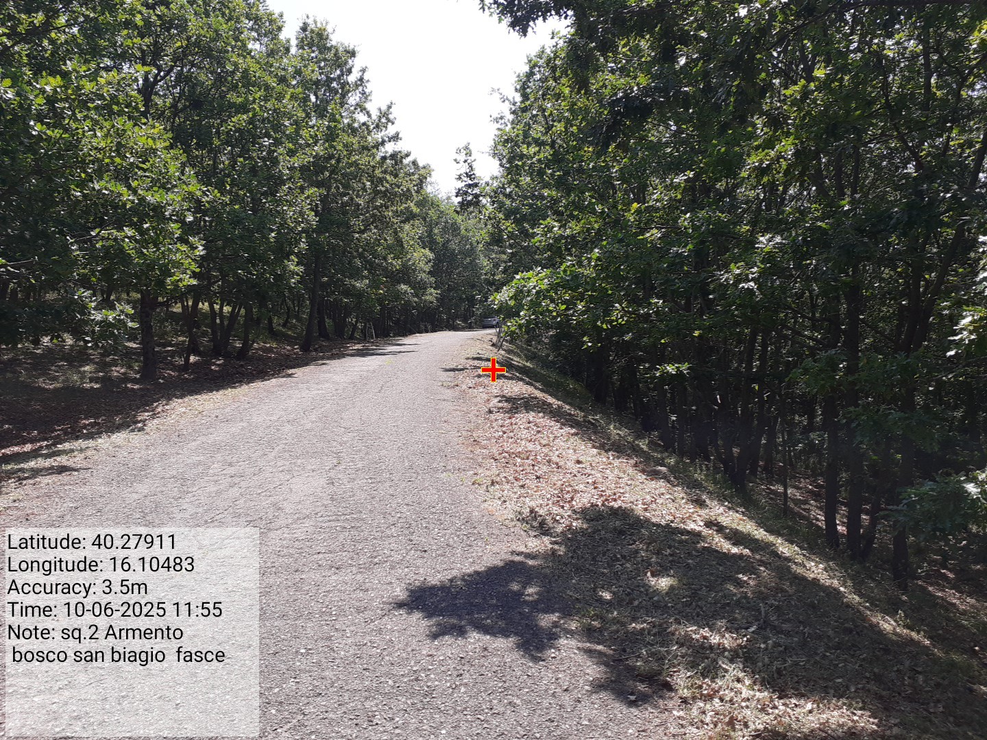 Galleria Fotografica Immagine