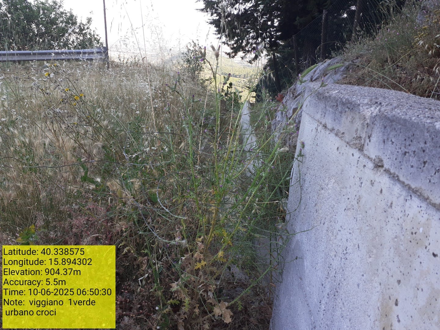 Galleria Fotografica Immagine