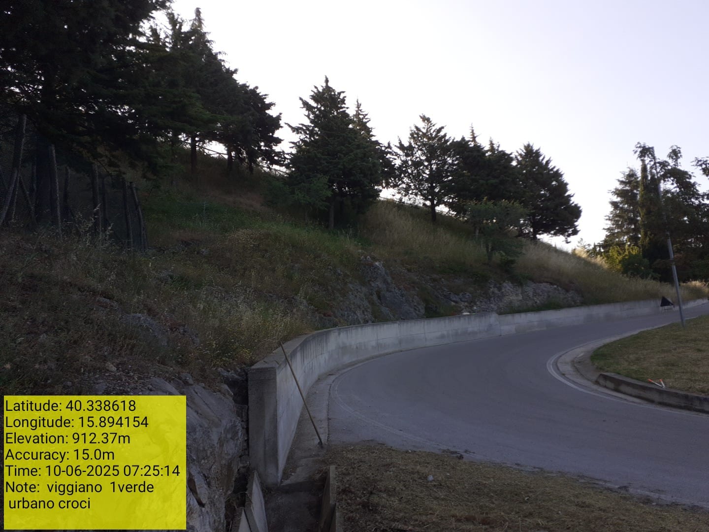 Galleria Fotografica Immagine