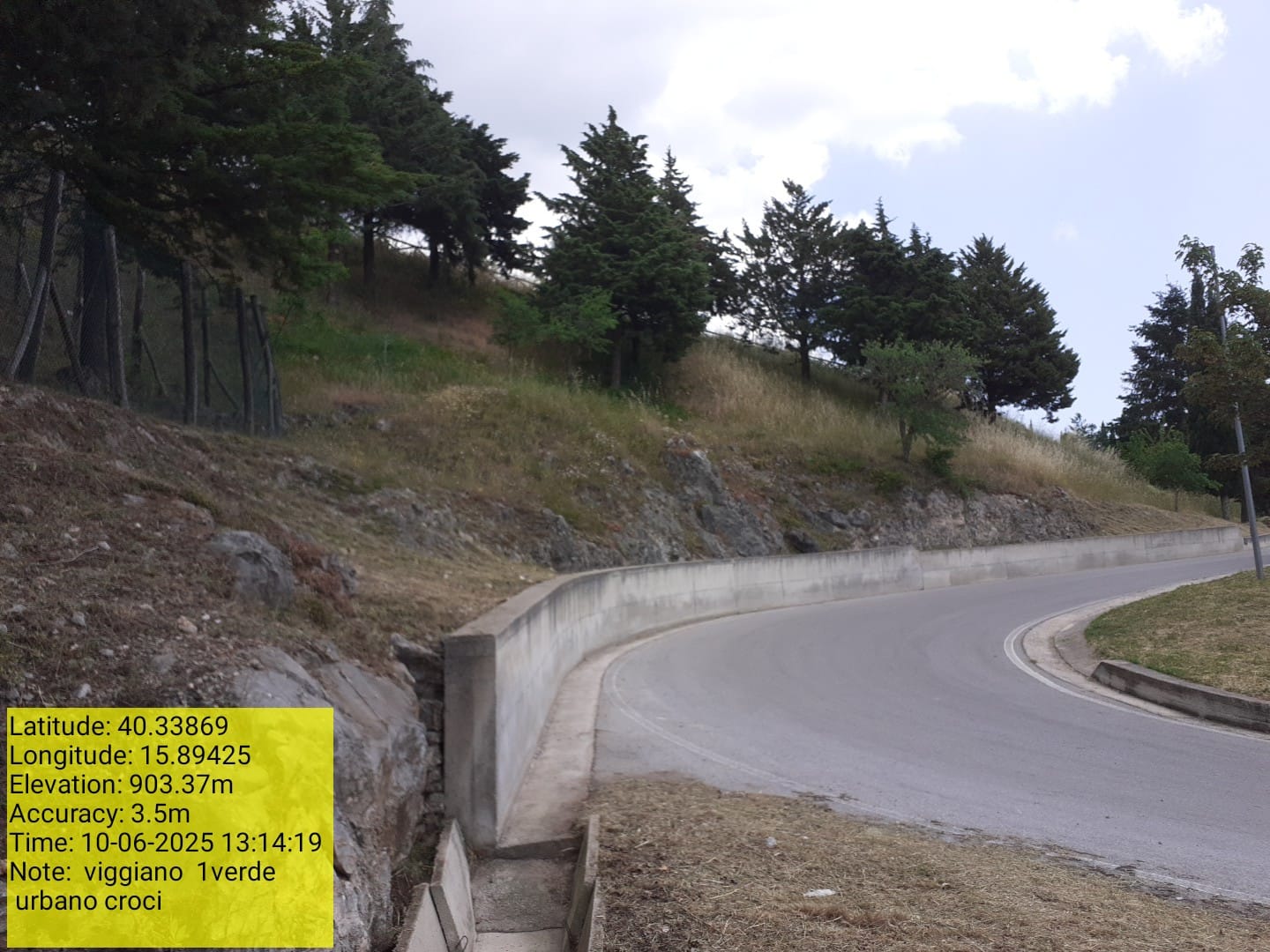 Galleria Fotografica Immagine