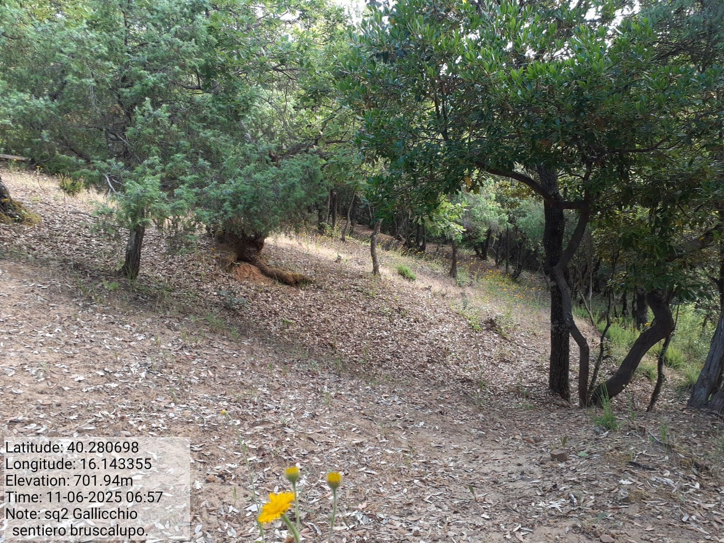 Galleria Fotografica Immagine