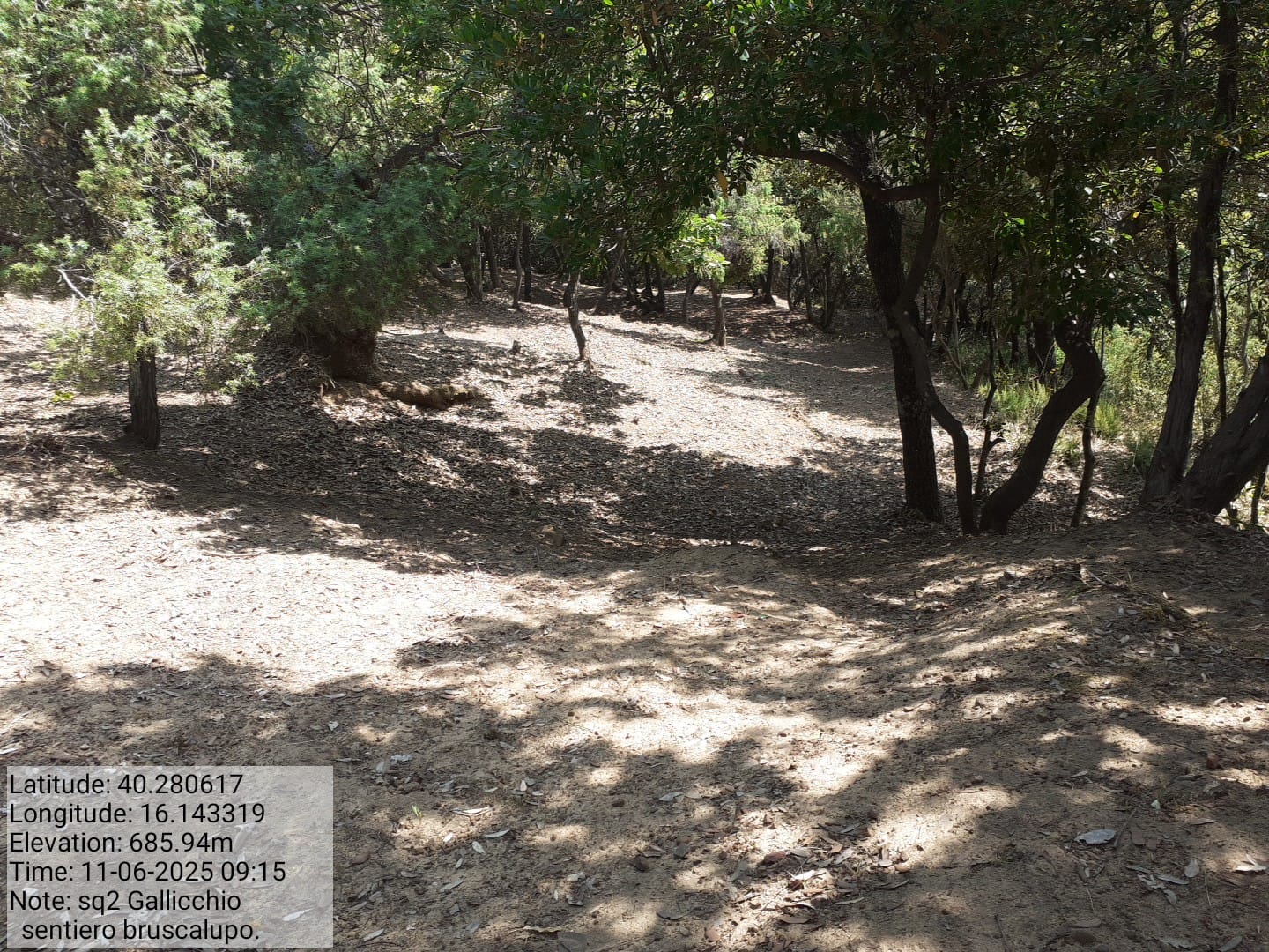 Galleria Fotografica Immagine