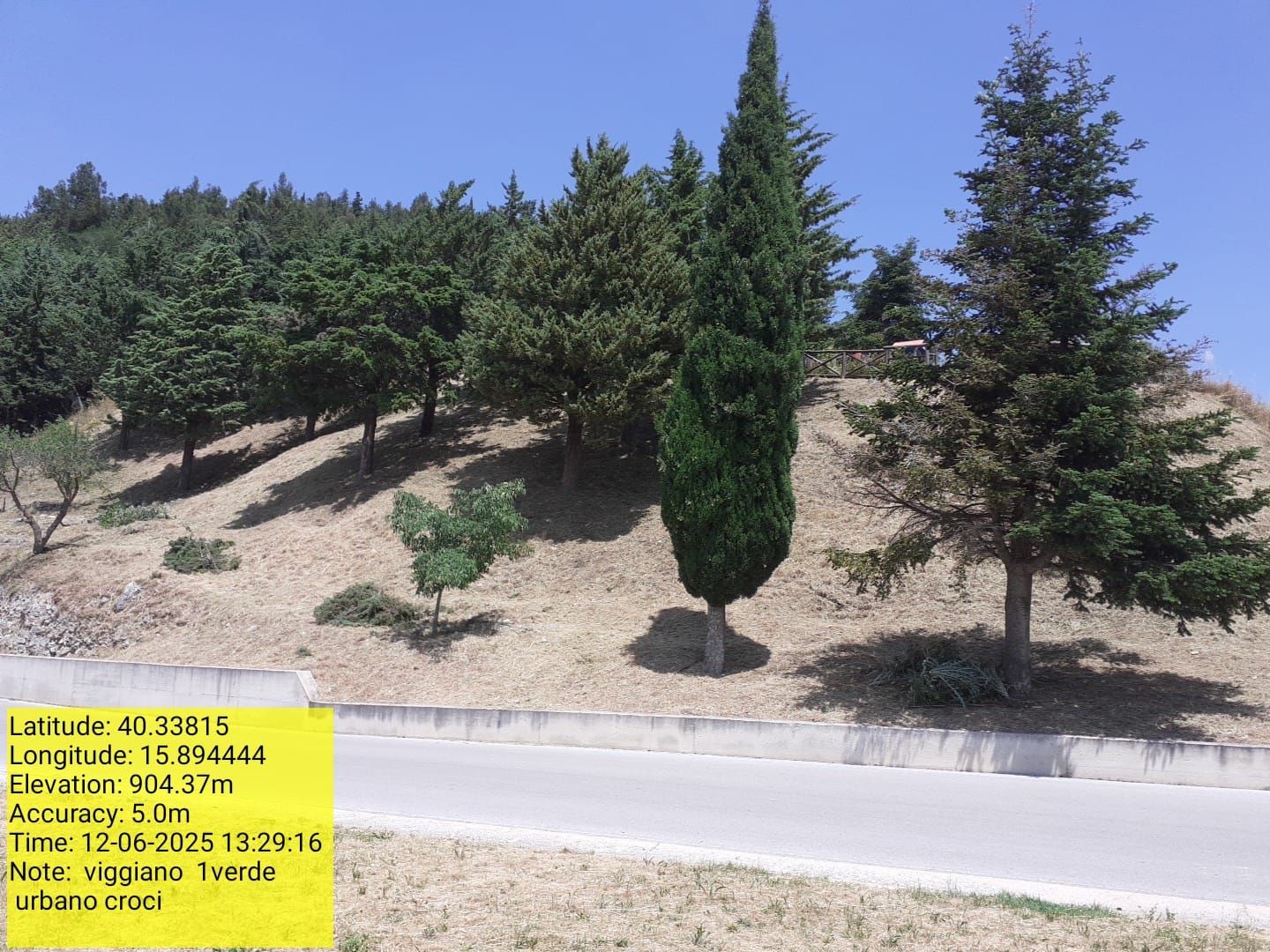 Galleria Fotografica Immagine