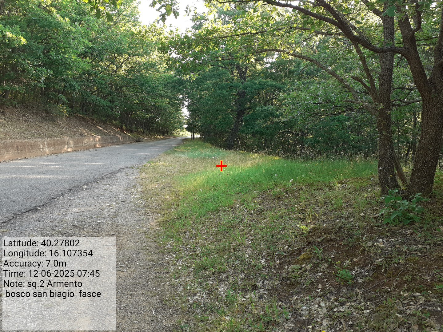 Galleria Fotografica Immagine