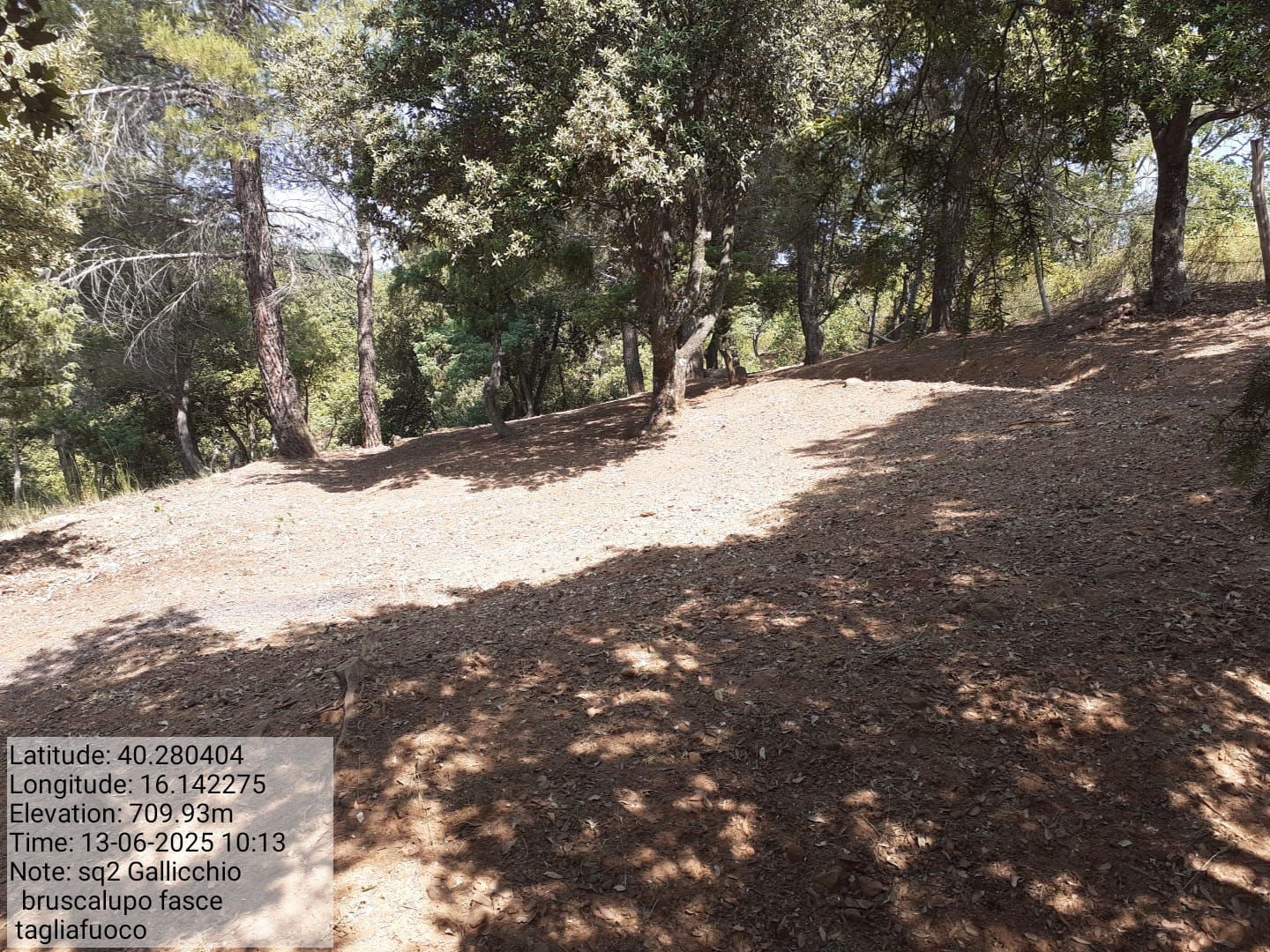 Galleria Fotografica Immagine