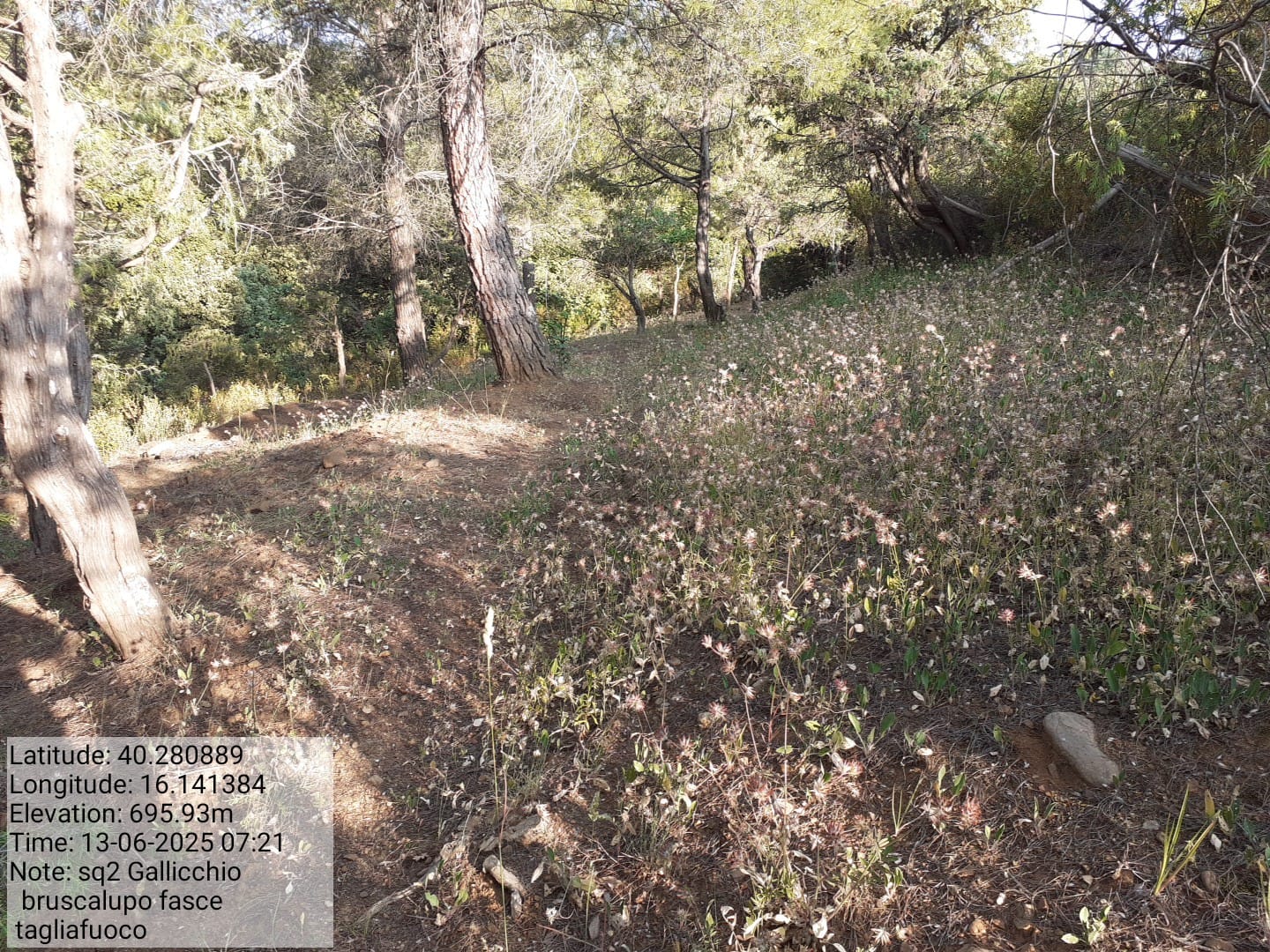 Galleria Fotografica Immagine