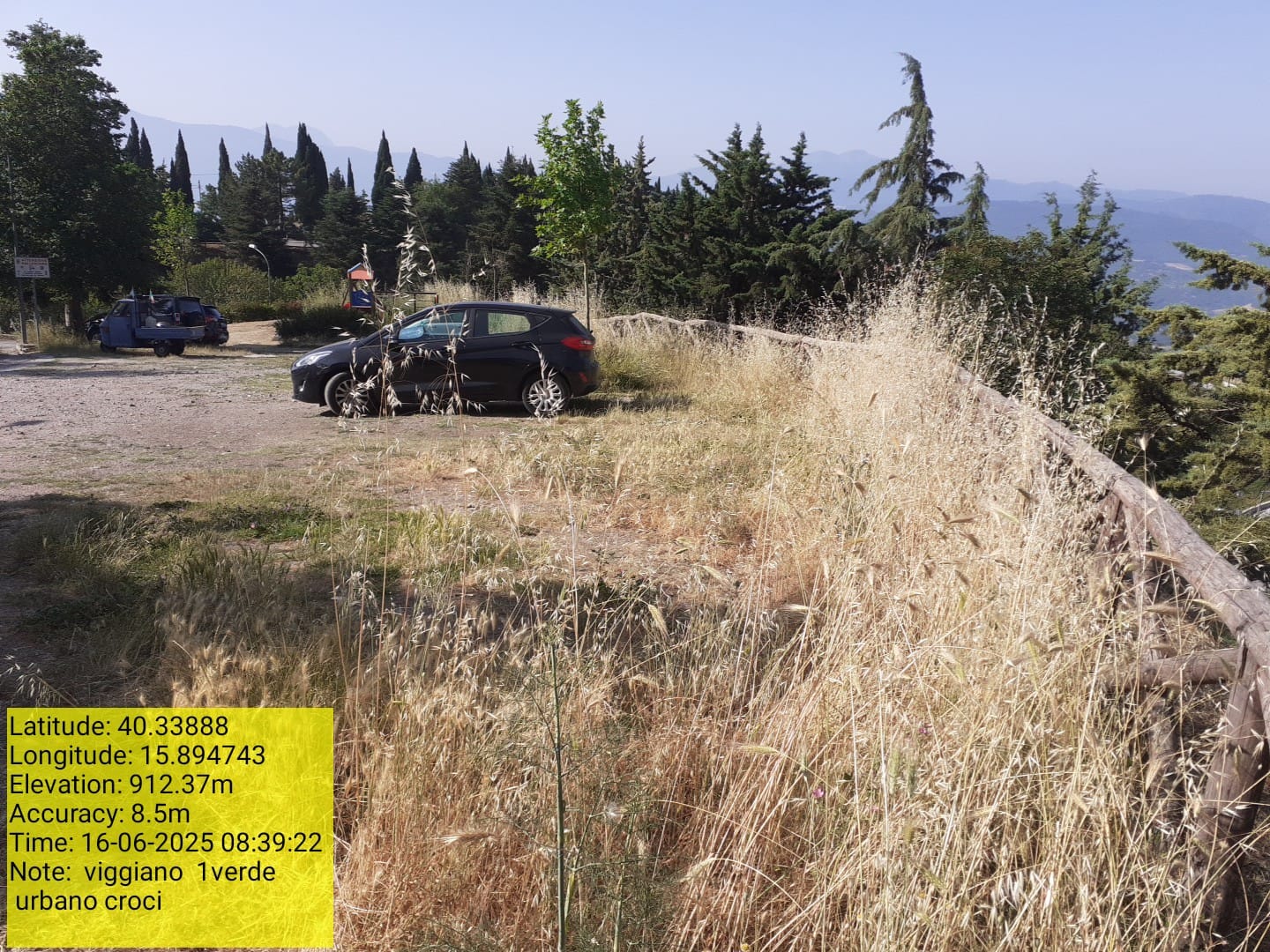 Galleria Fotografica Immagine