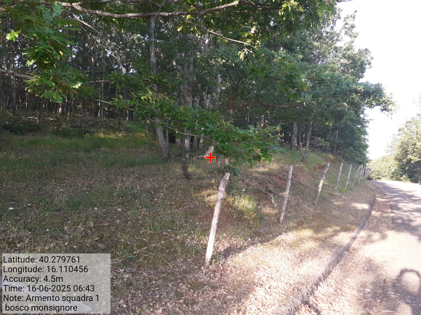 Galleria Fotografica Immagine