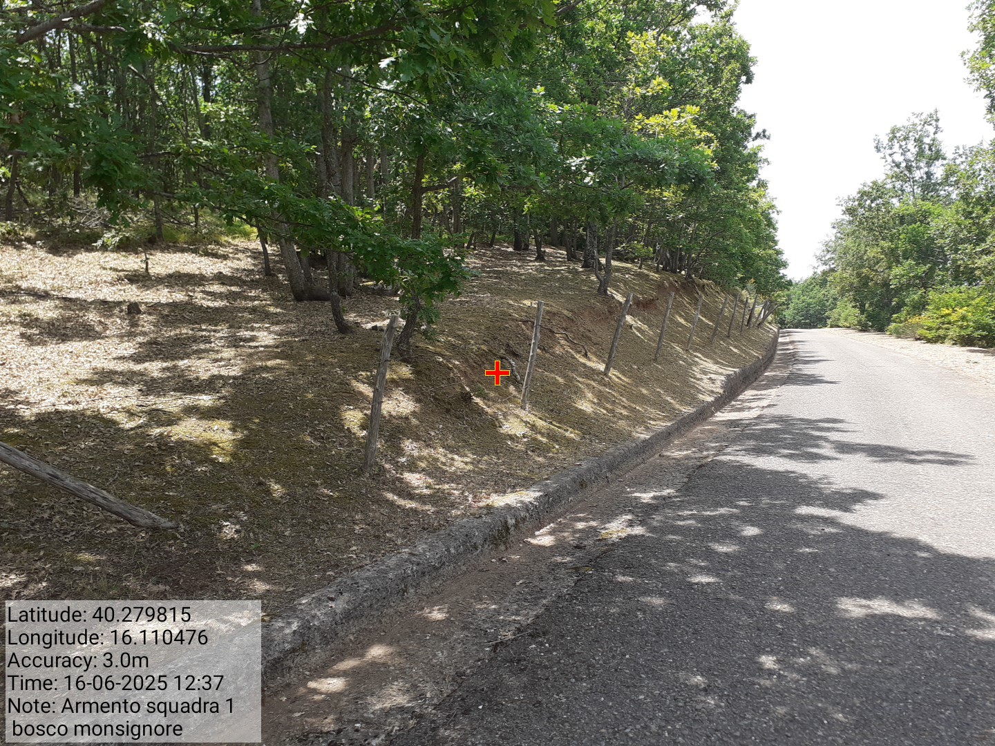 Galleria Fotografica Immagine