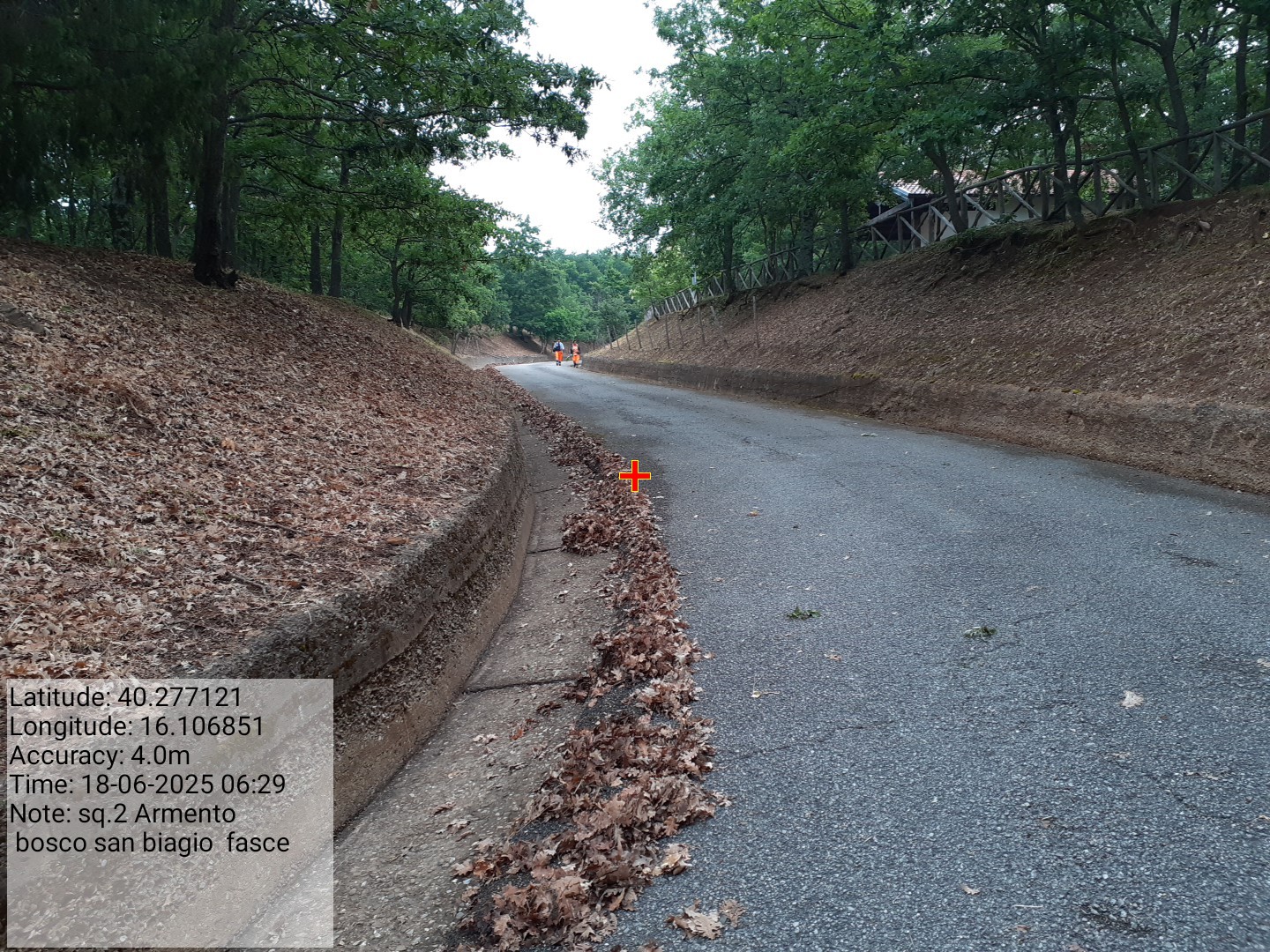 Galleria Fotografica Immagine