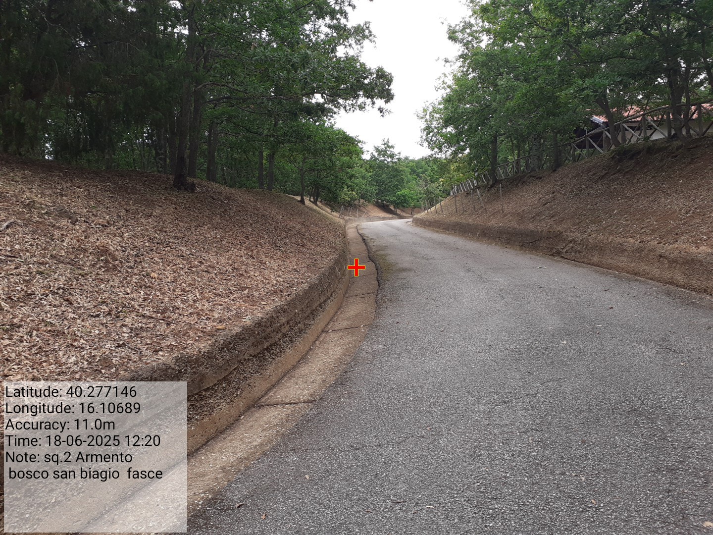 Galleria Fotografica Immagine