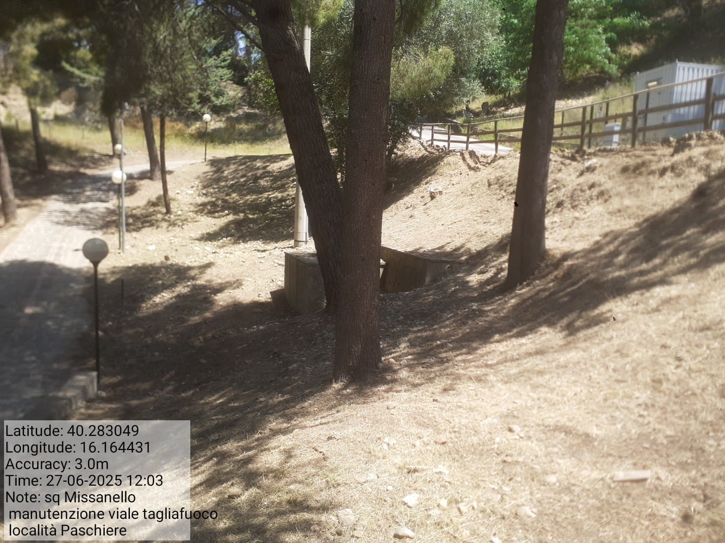 Galleria Fotografica Immagine