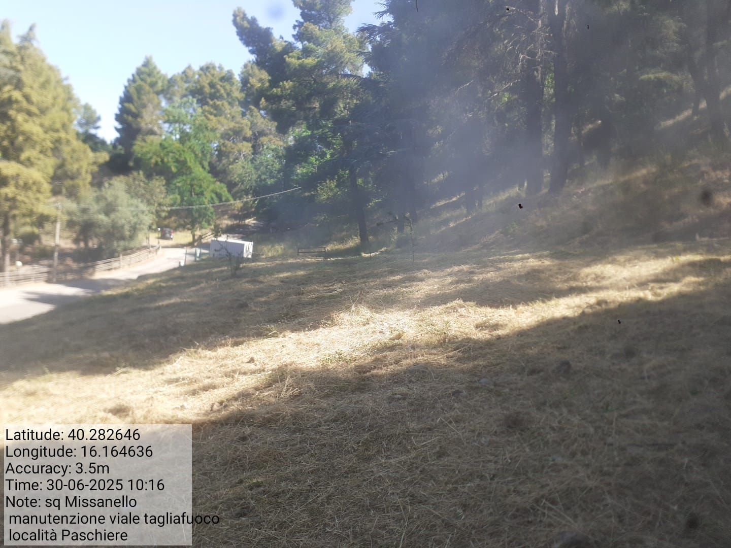 Galleria Fotografica Immagine