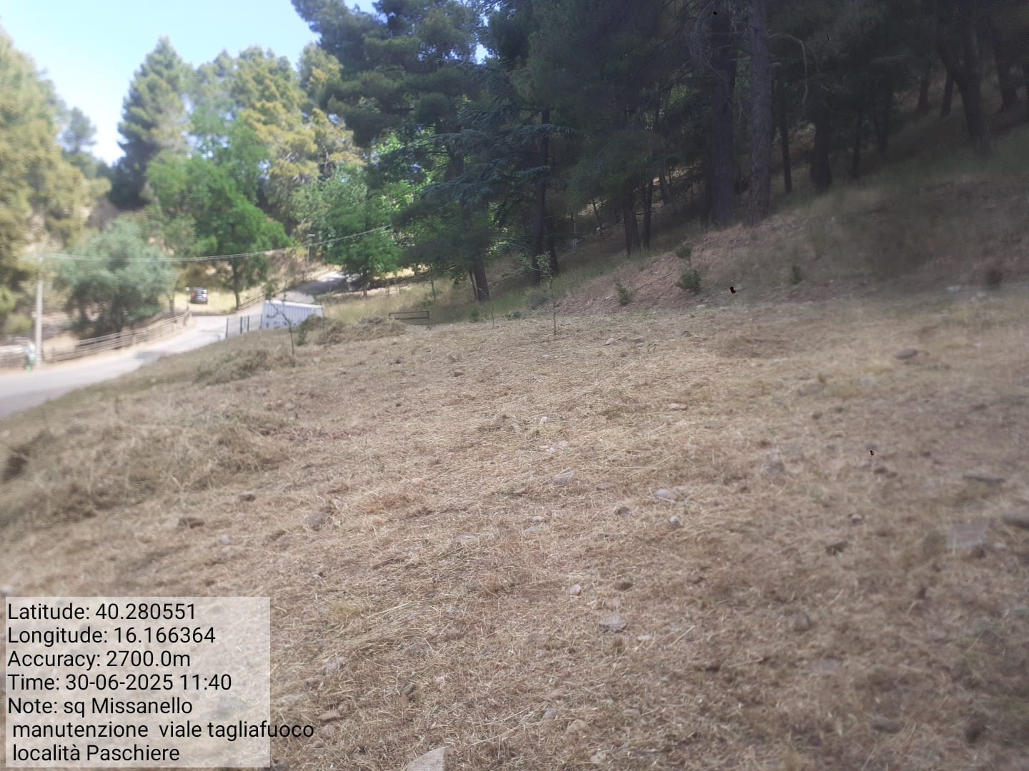 Galleria Fotografica Immagine