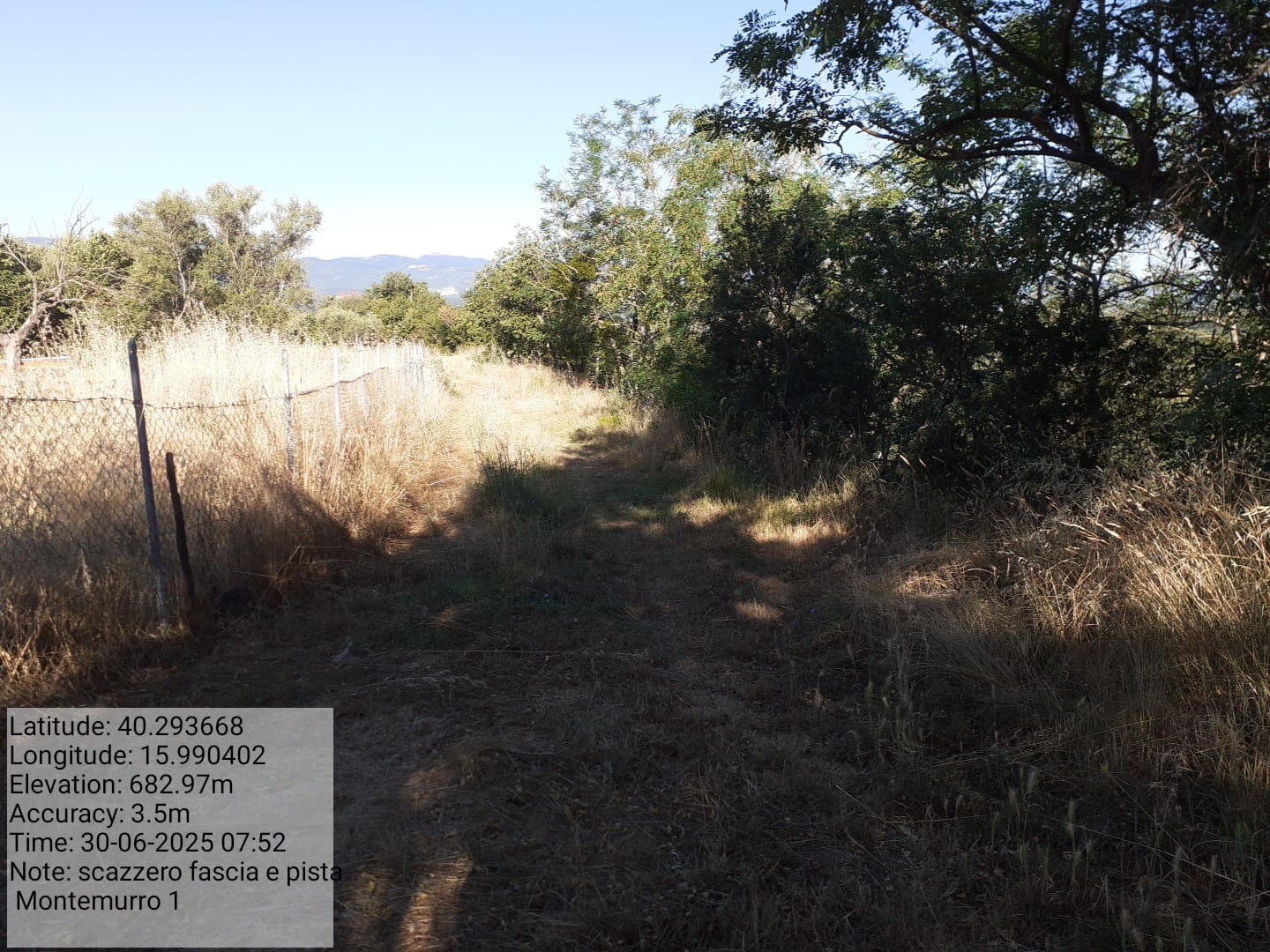 Galleria Fotografica Immagine