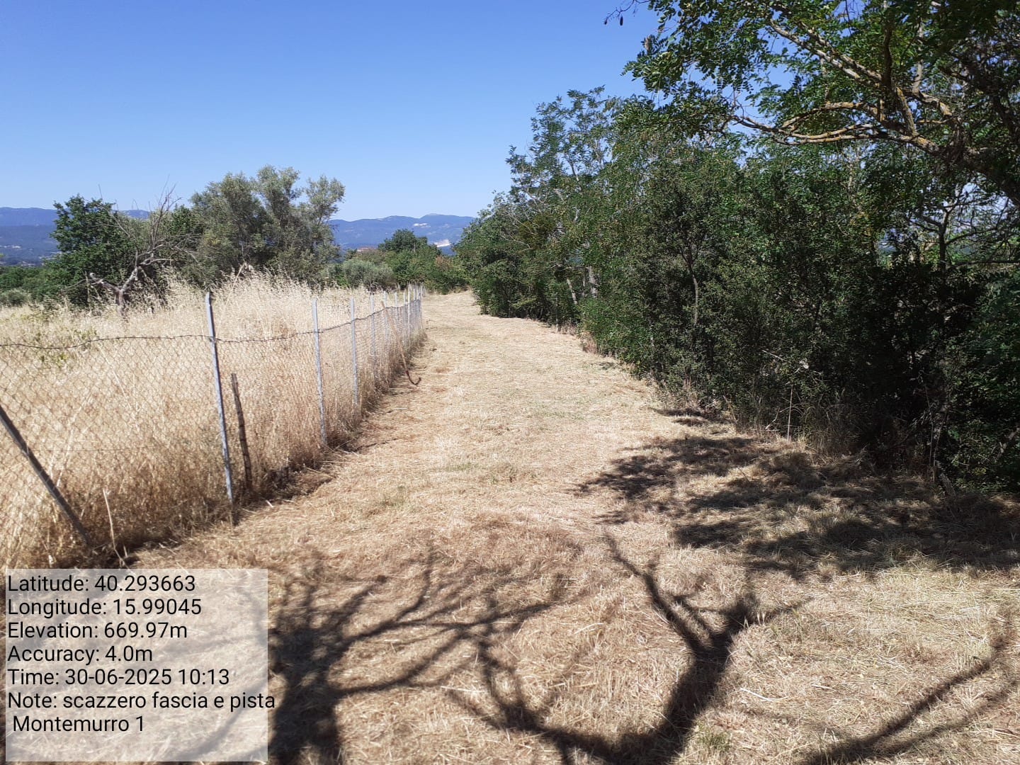 Galleria Fotografica Immagine