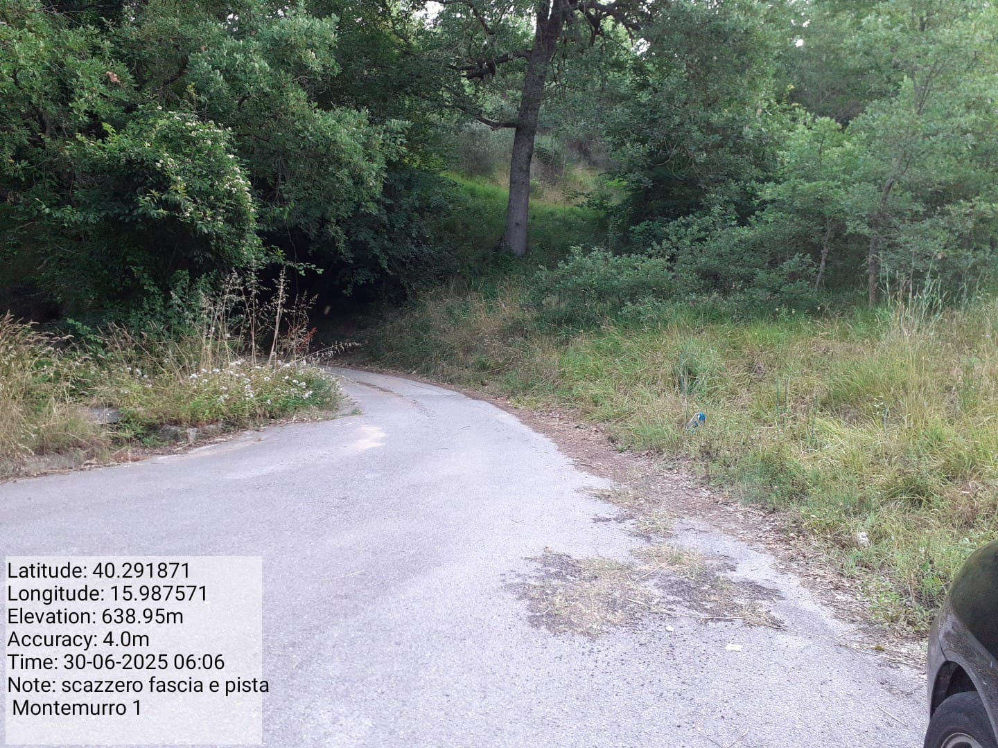 Galleria Fotografica Immagine