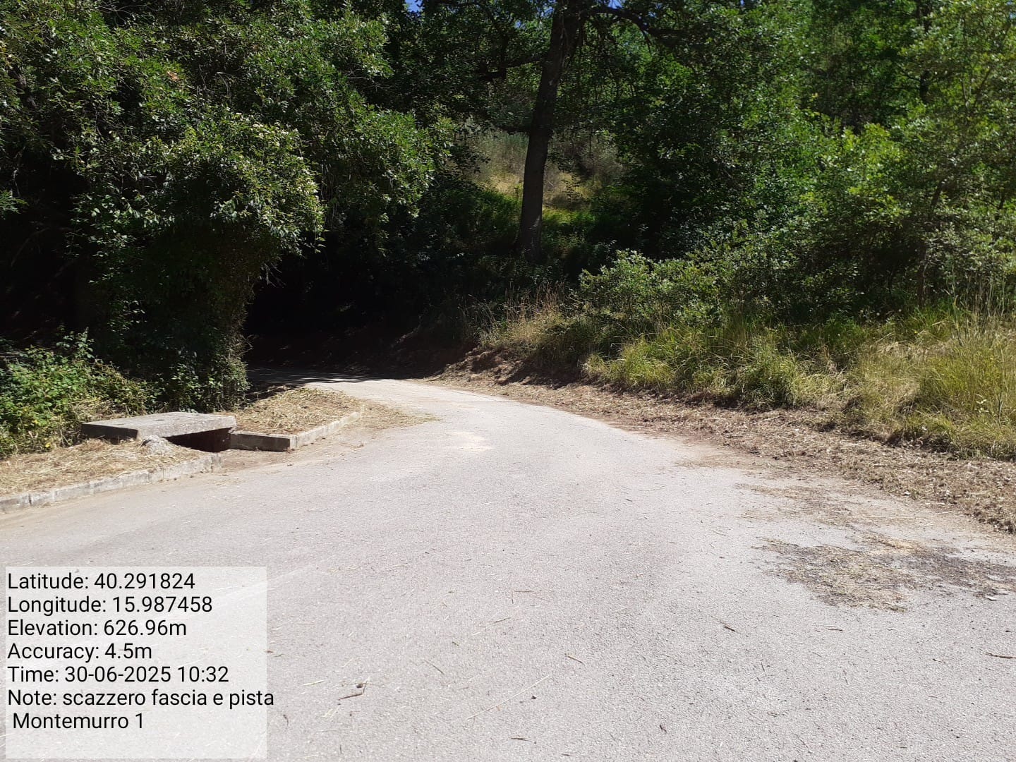 Galleria Fotografica Immagine