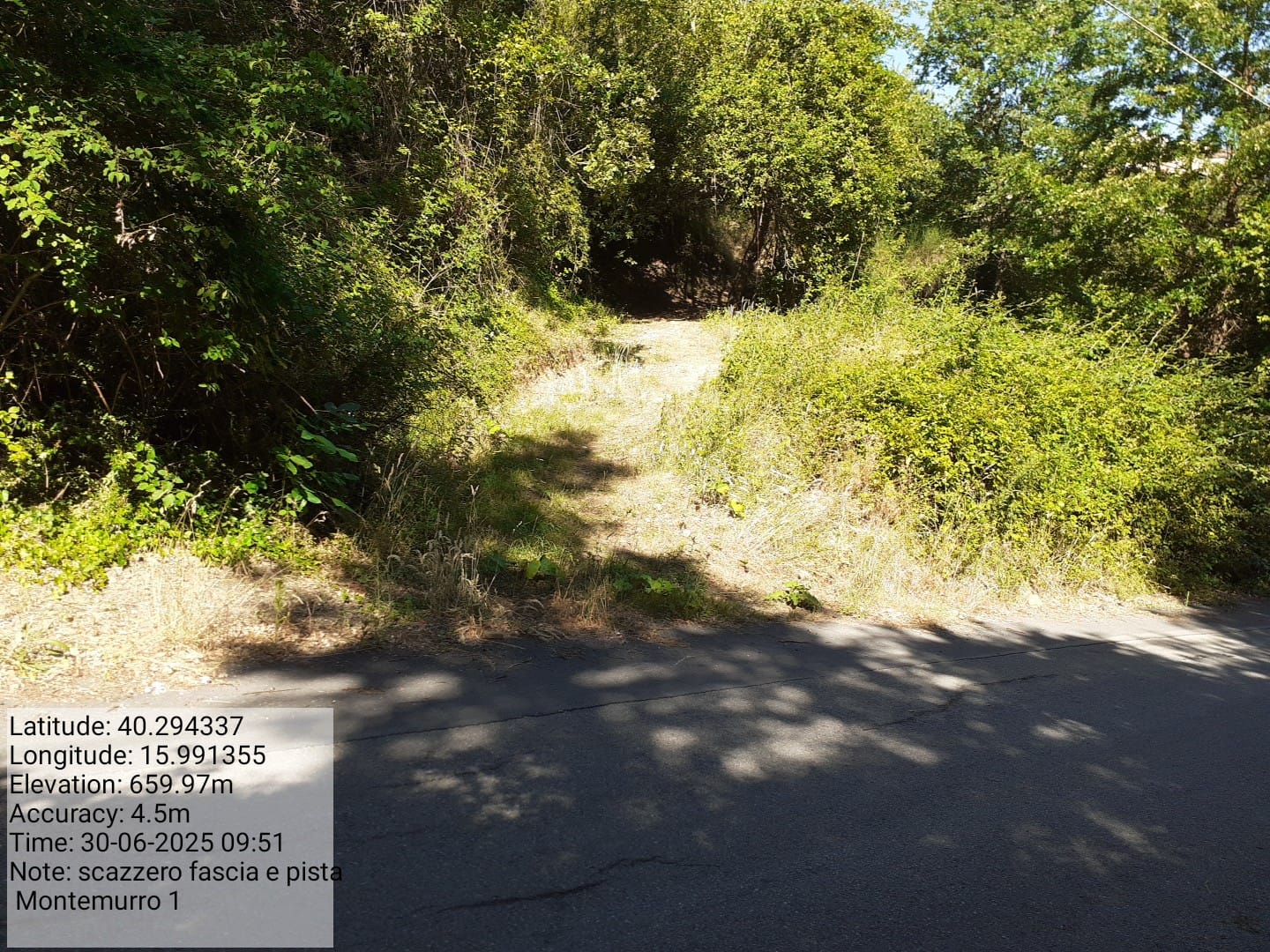 Galleria Fotografica Immagine