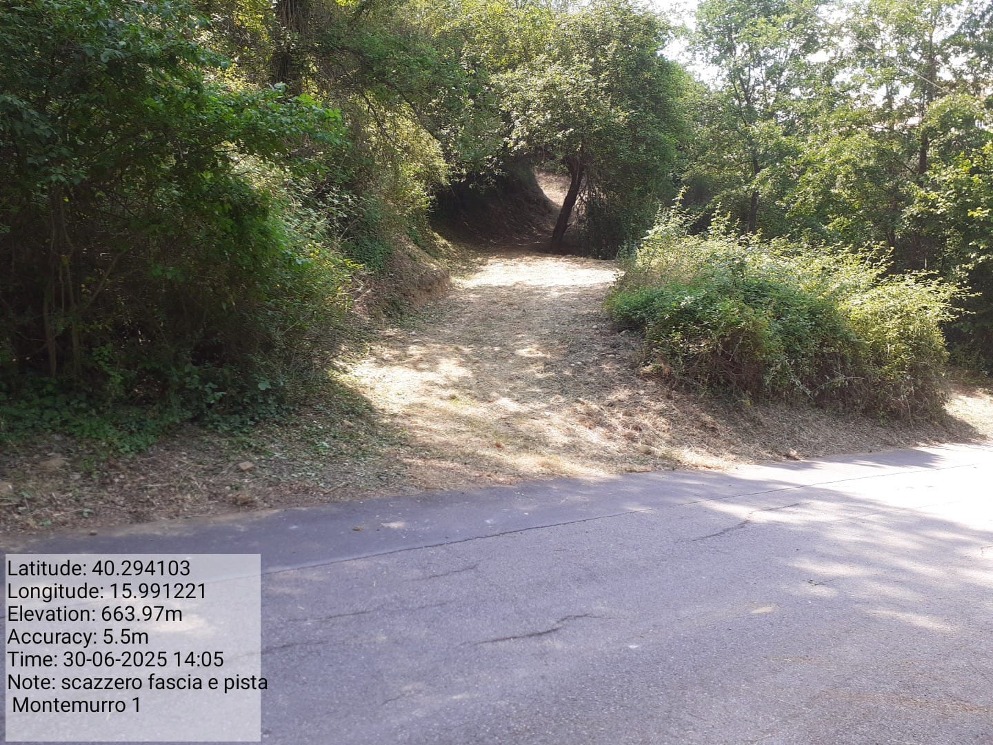 Galleria Fotografica Immagine