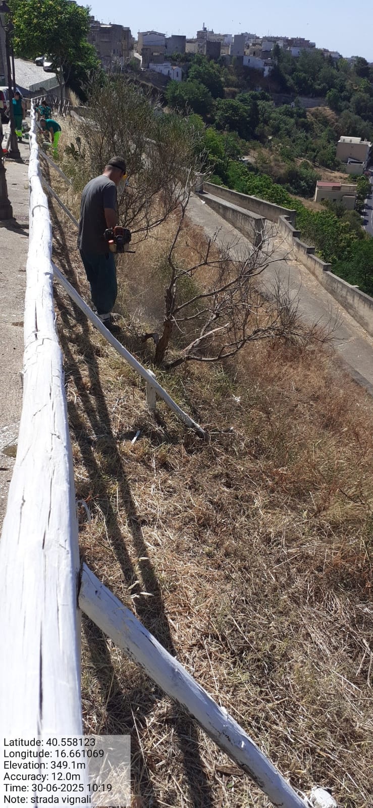 Galleria Fotografica Immagine