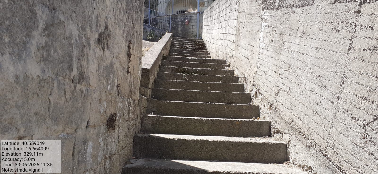 Galleria Fotografica Immagine