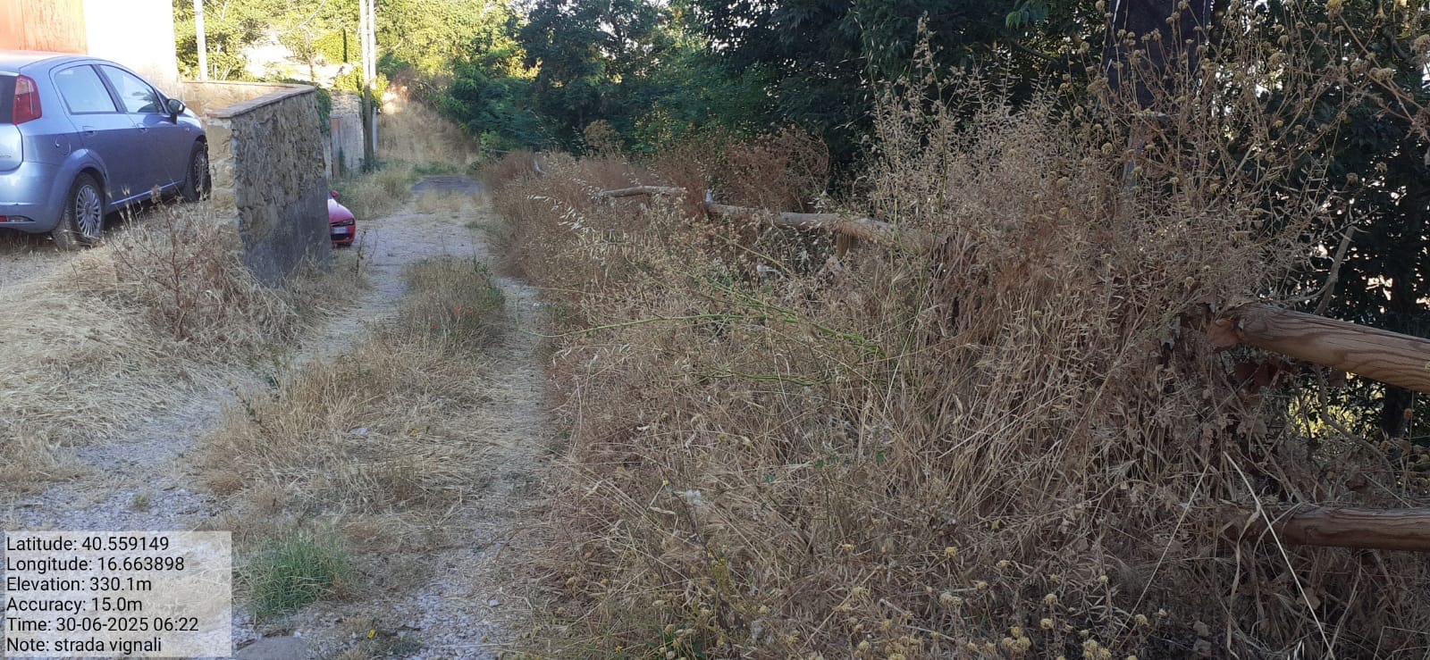 Galleria Fotografica Immagine