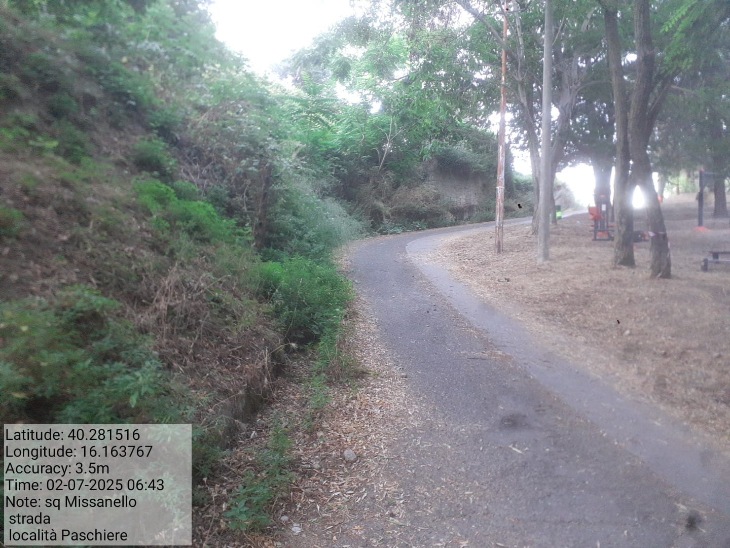 Galleria Fotografica Immagine