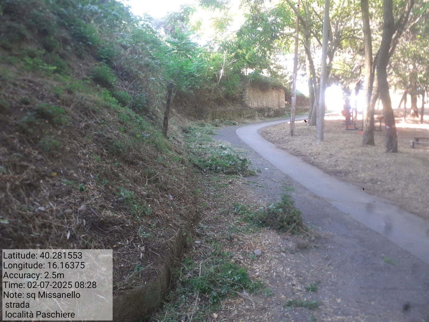 Galleria Fotografica Immagine