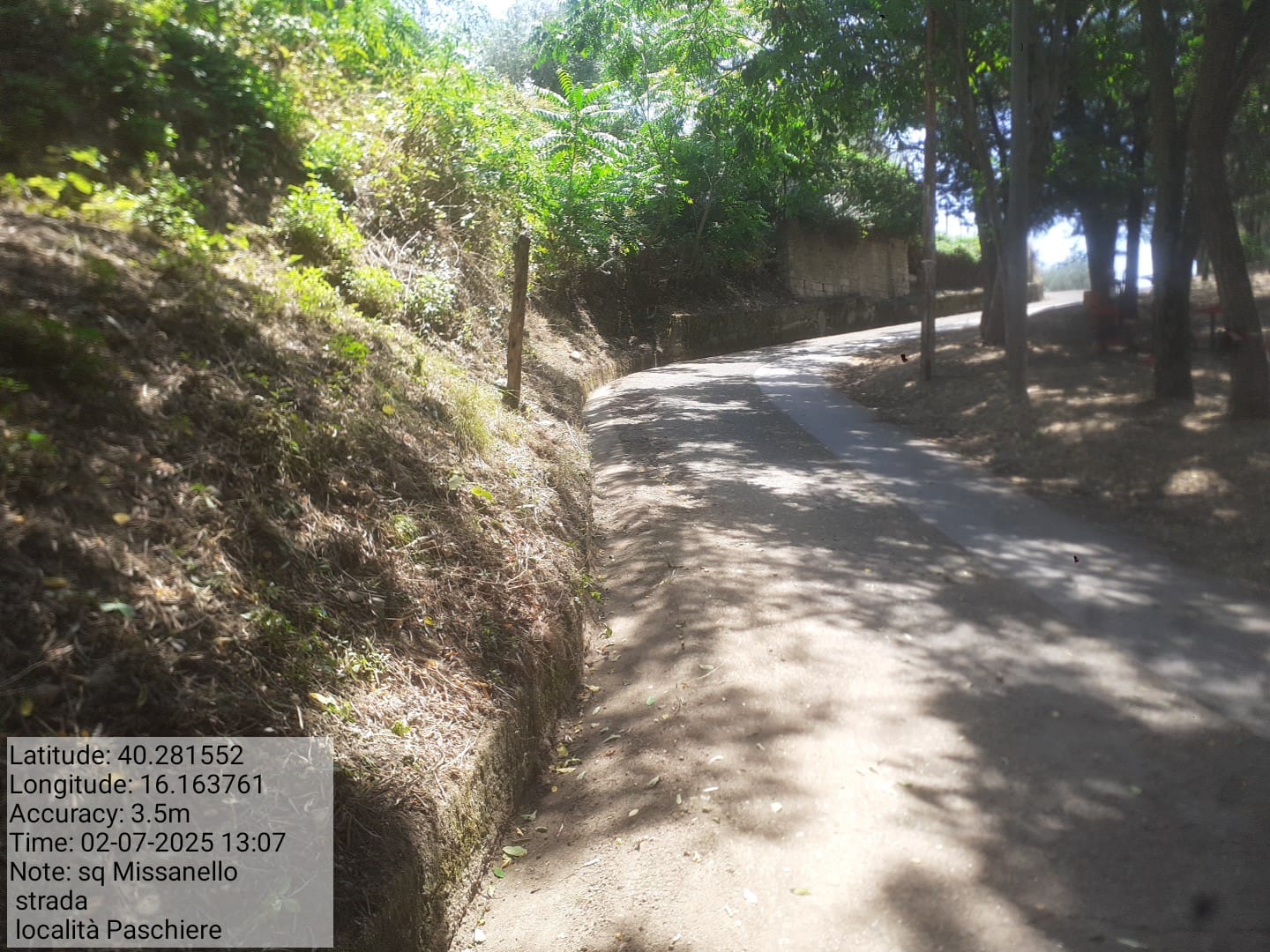 Galleria Fotografica Immagine