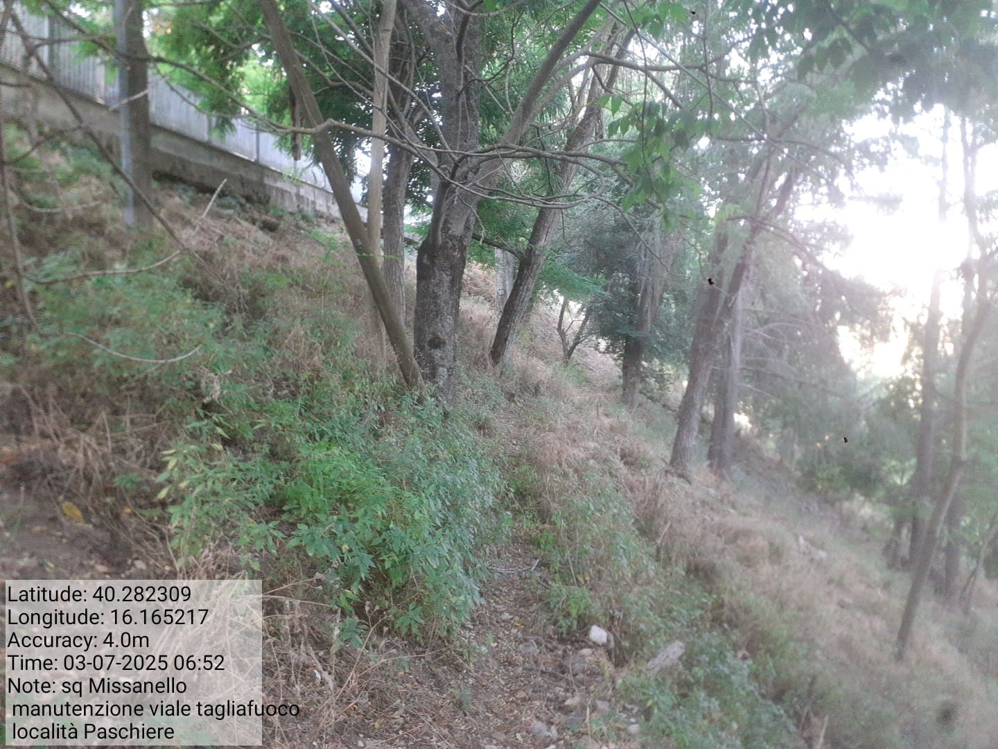 Galleria Fotografica Immagine