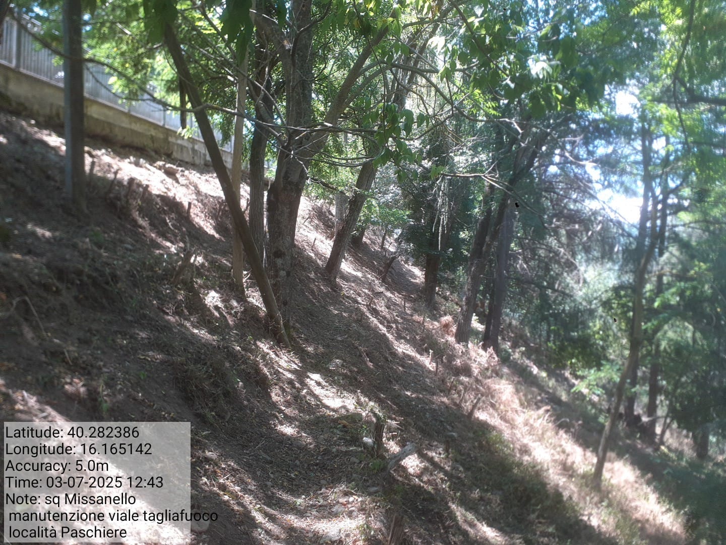 Galleria Fotografica Immagine