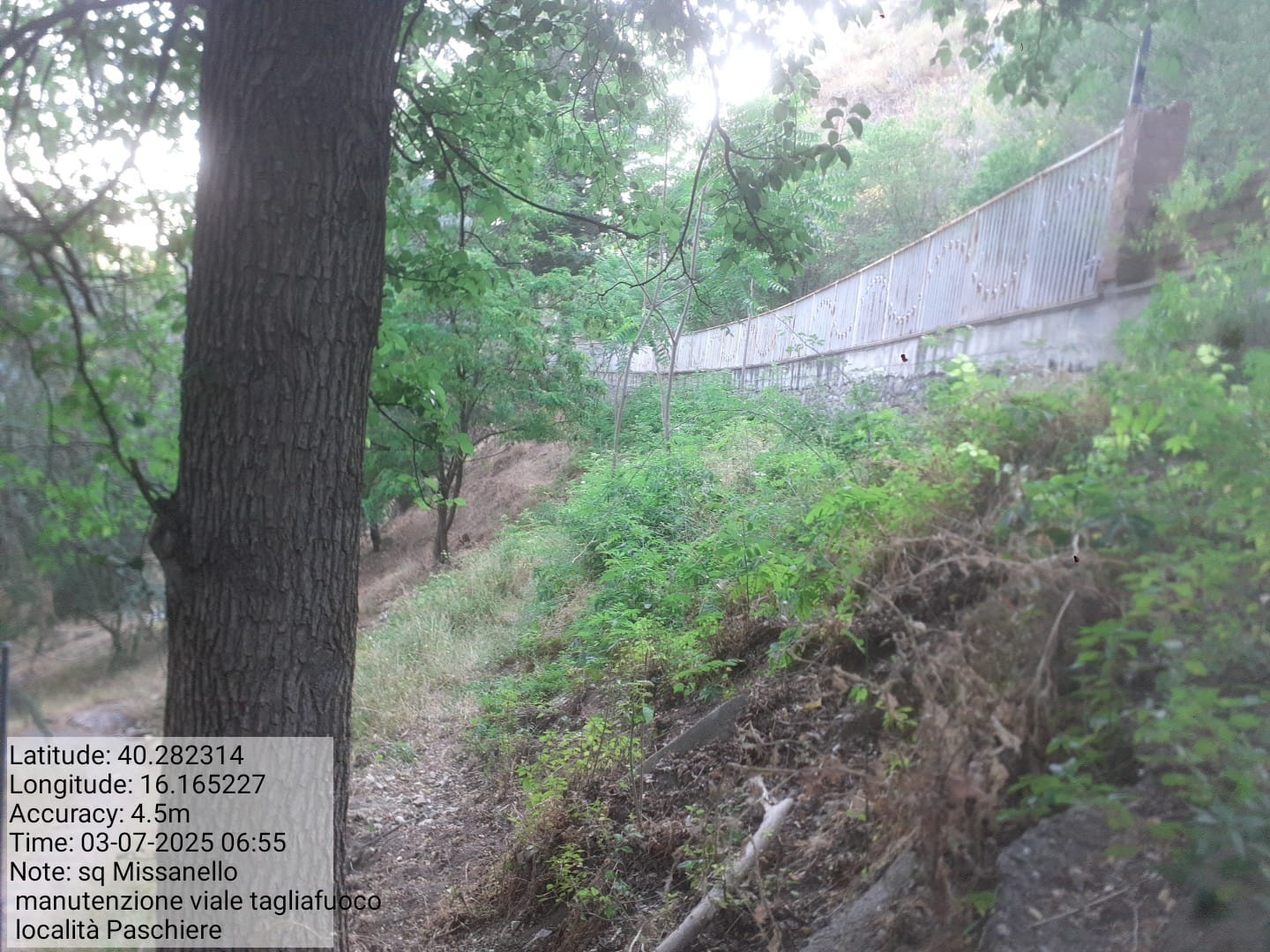 Galleria Fotografica Immagine