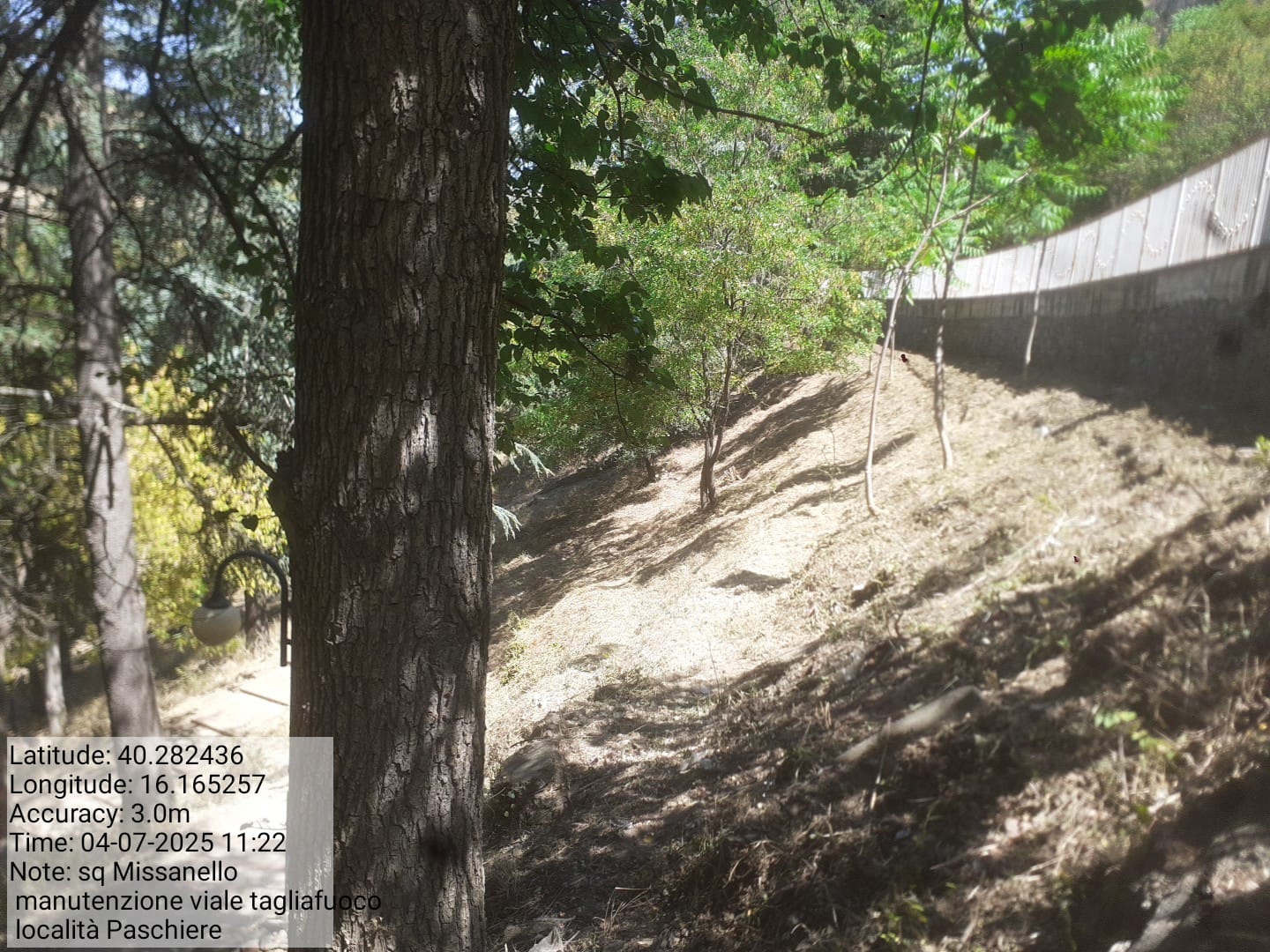 Galleria Fotografica Immagine