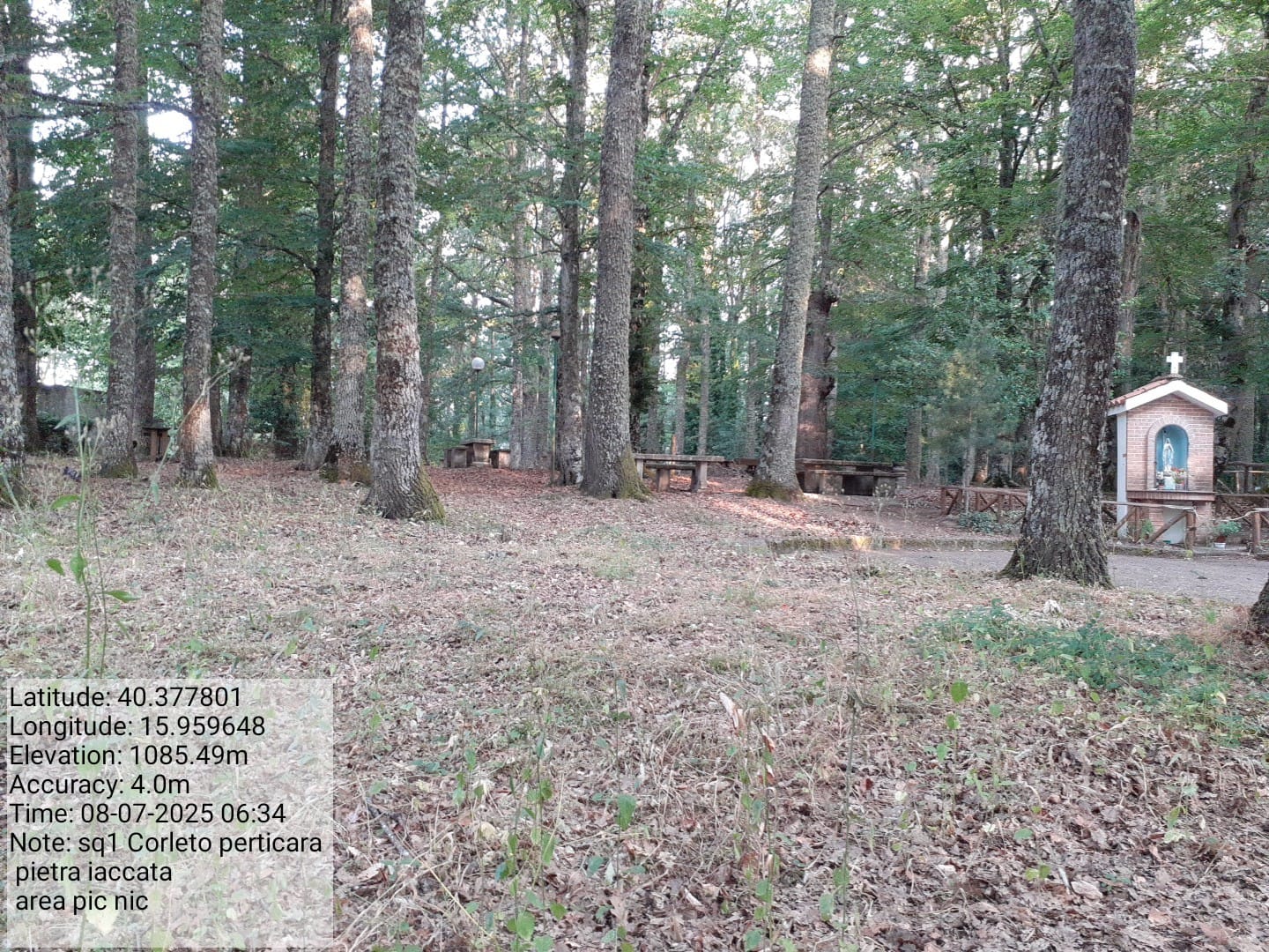 Galleria Fotografica Immagine