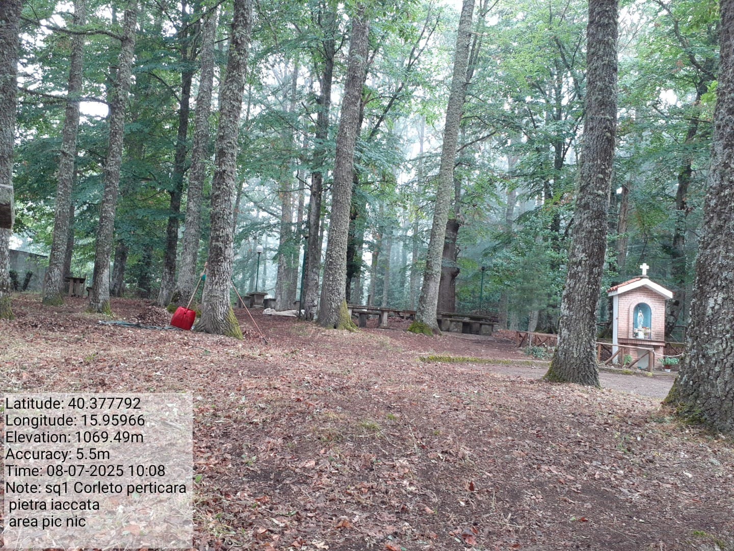 Galleria Fotografica Immagine