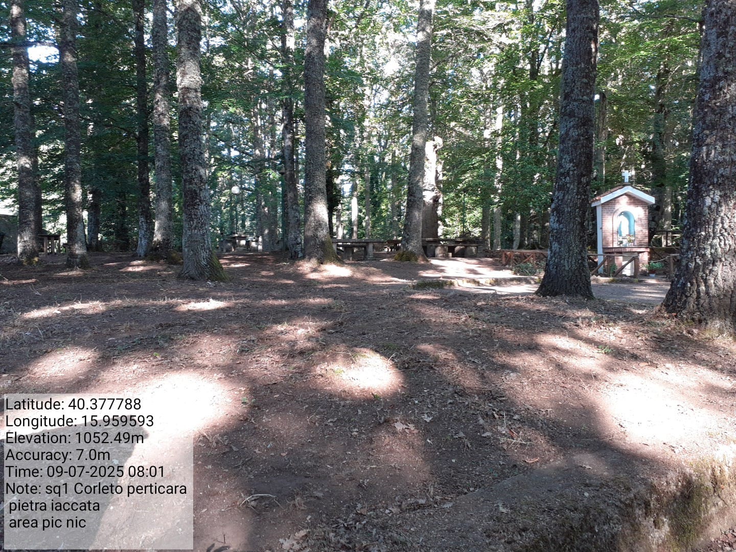 Galleria Fotografica Immagine