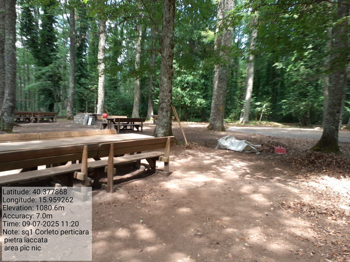 Galleria Fotografica Immagine