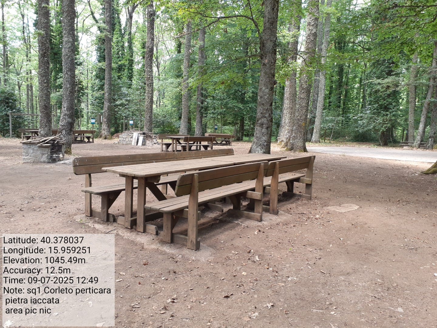 Galleria Fotografica Immagine